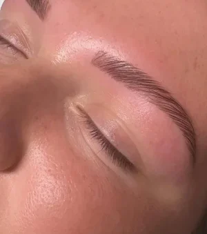 Eyebrow lamination, Tint, and Shaping in Ogden Utah