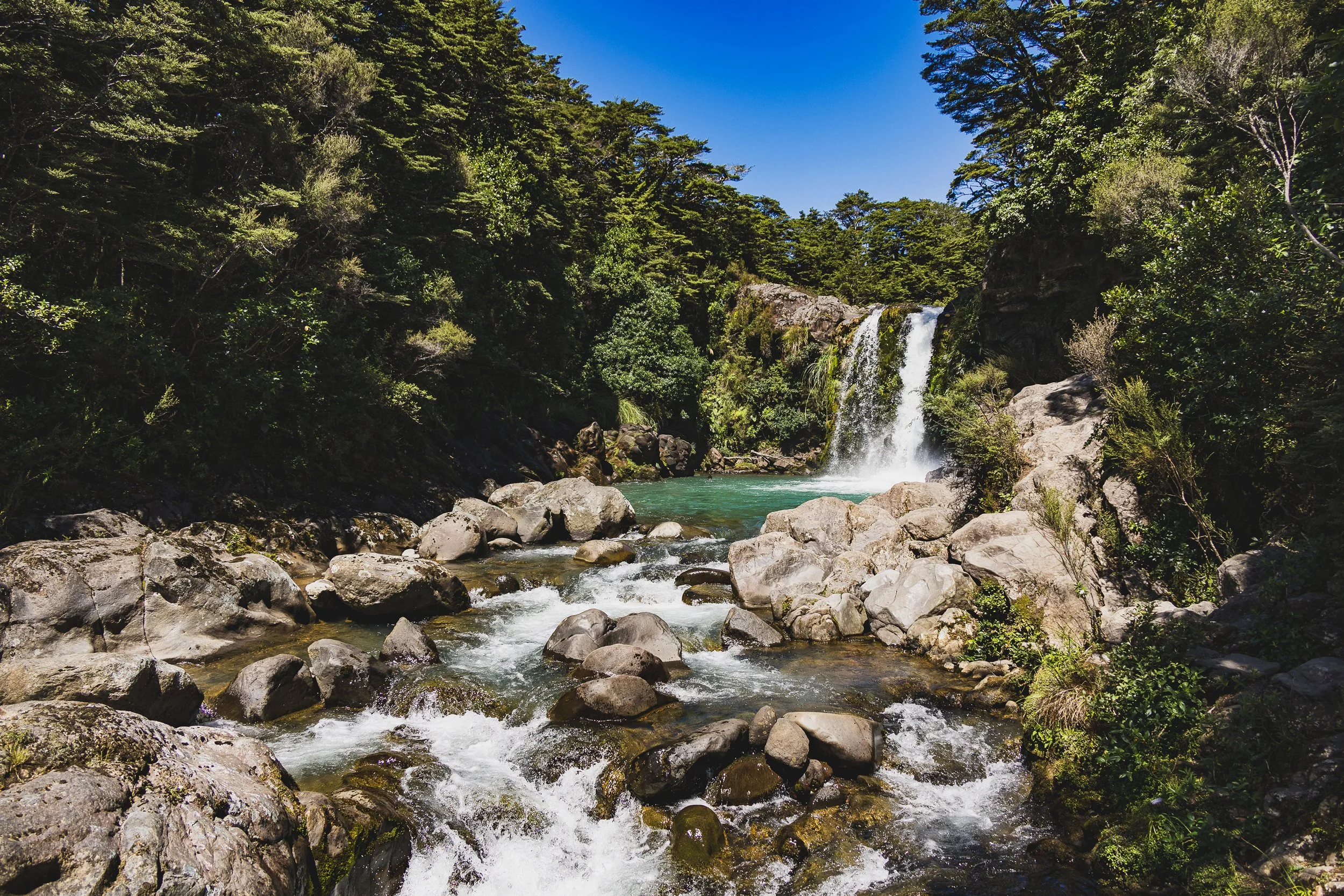 Tawhai Falls, I (February 2025)