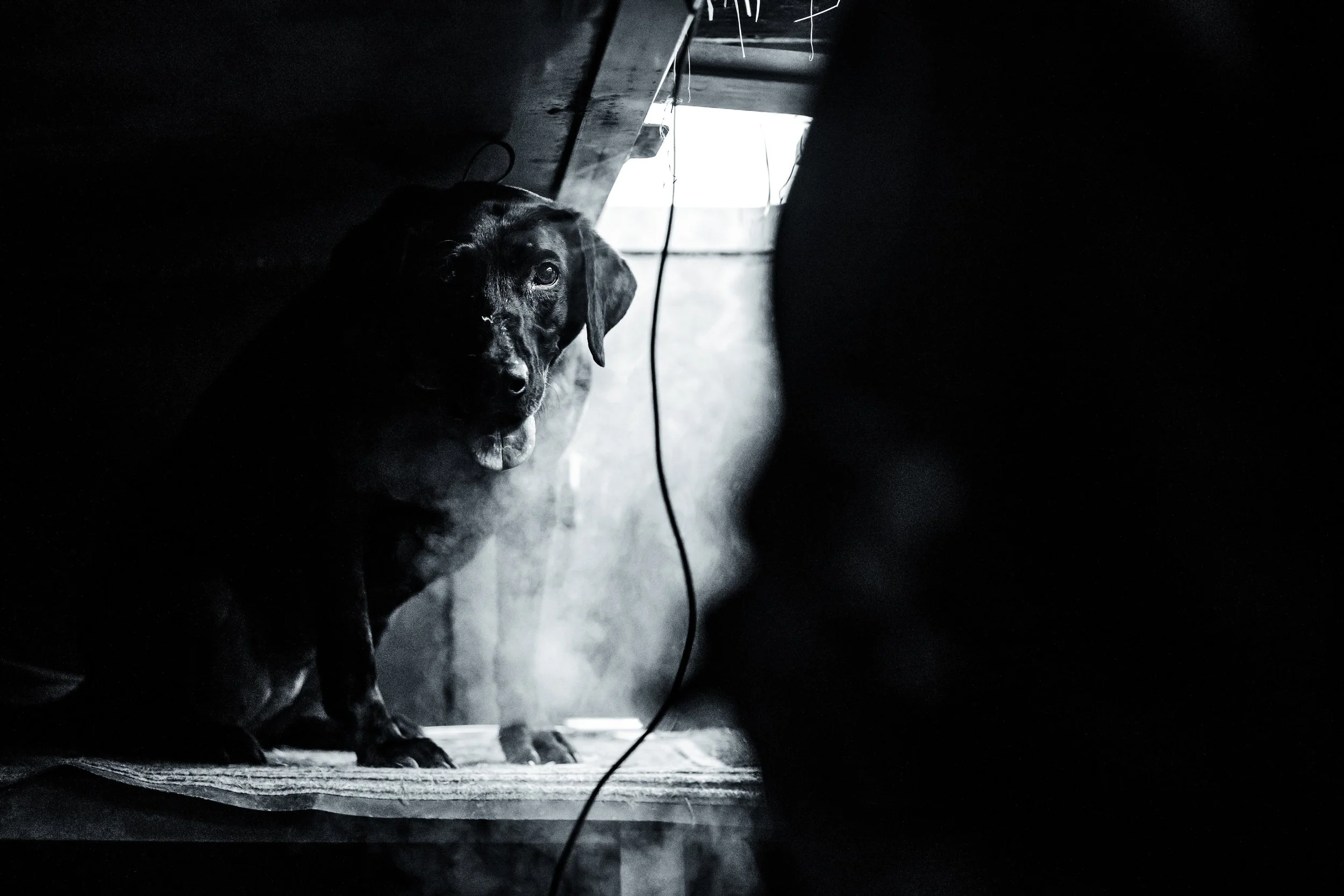 HF SNOW 2025-59.jpeg