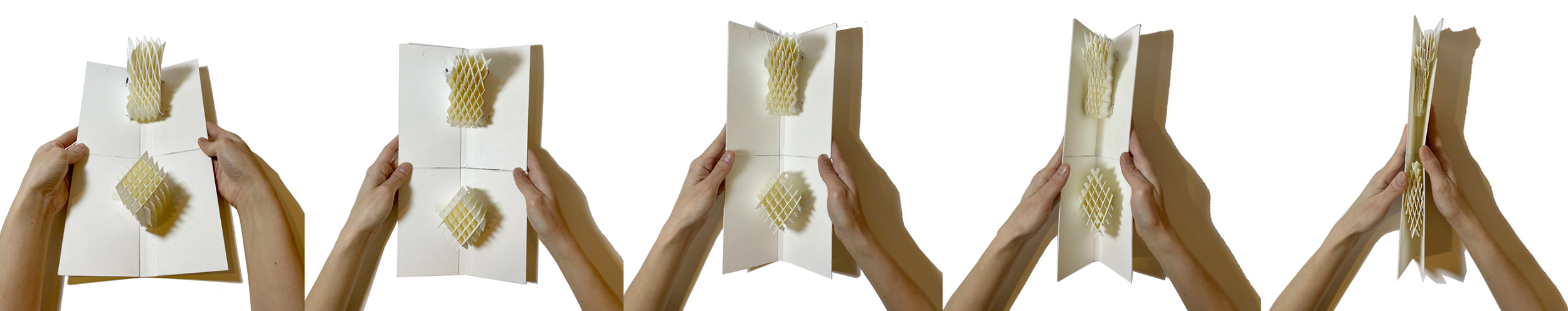 Screenshot 2026-02-19 025025.png