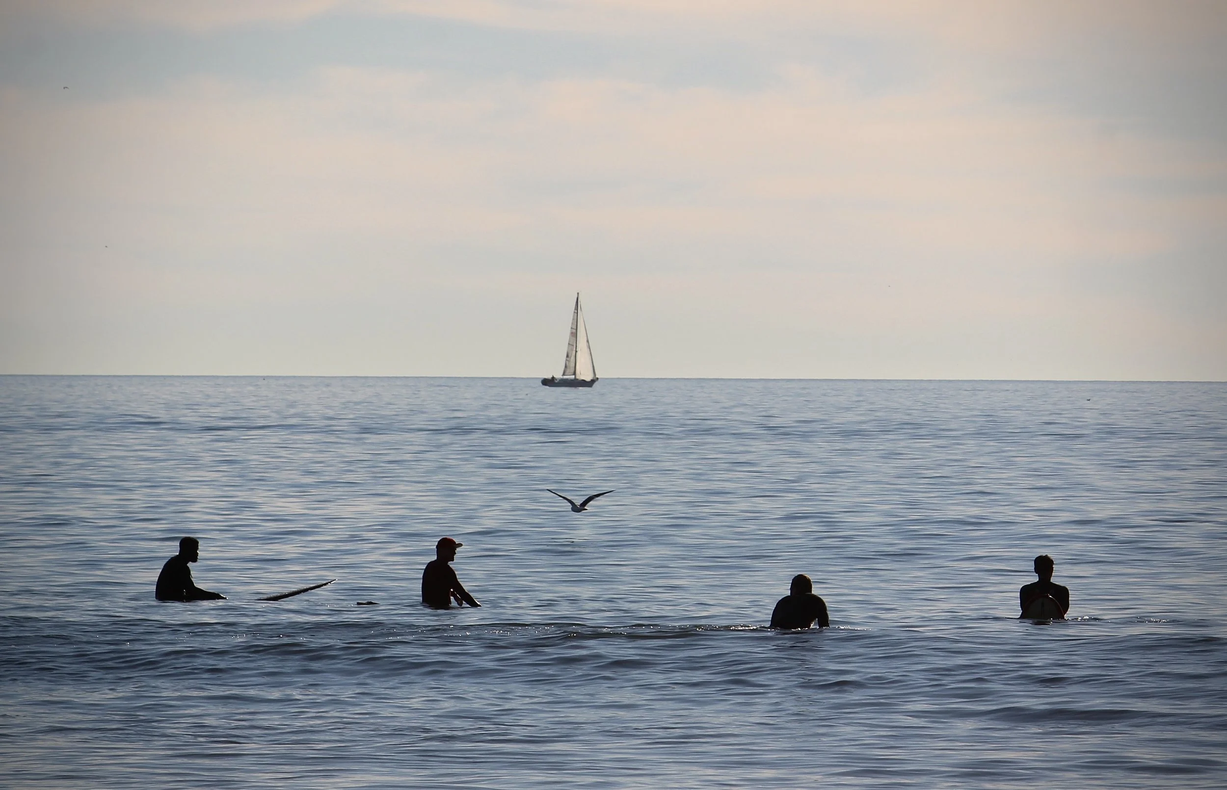 A calm ocean with a sailboat in the distance, four people wading in the shallow water, and a seagull flying overhead during sunset or sunrise.