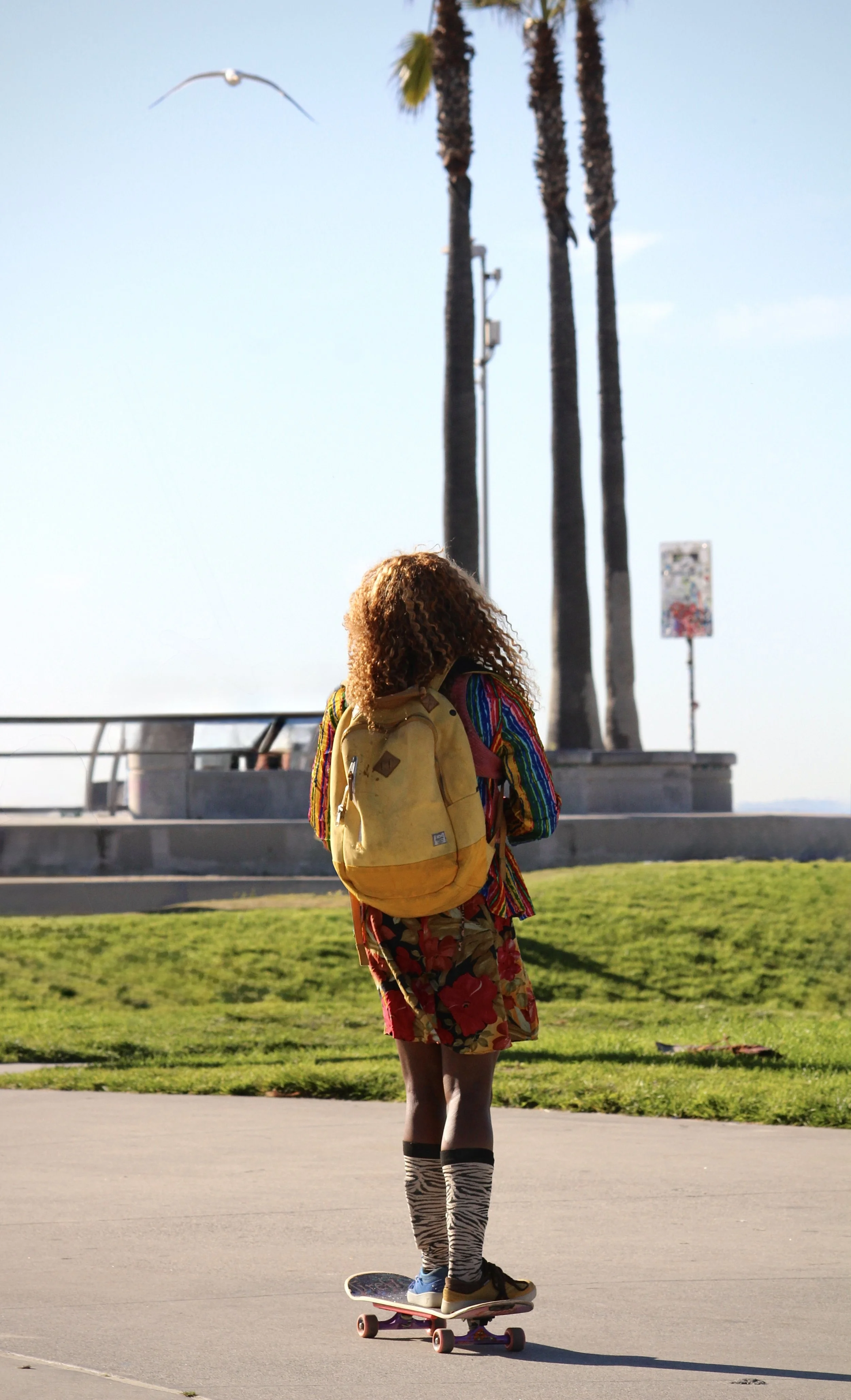 A person with curly hair riding a skateboard outdoors in front of tall palm trees, wearing a colorful jacket, floral shorts, zebra-patterned knee-high socks, and a yellow backpack, with a seagull flying overhead.