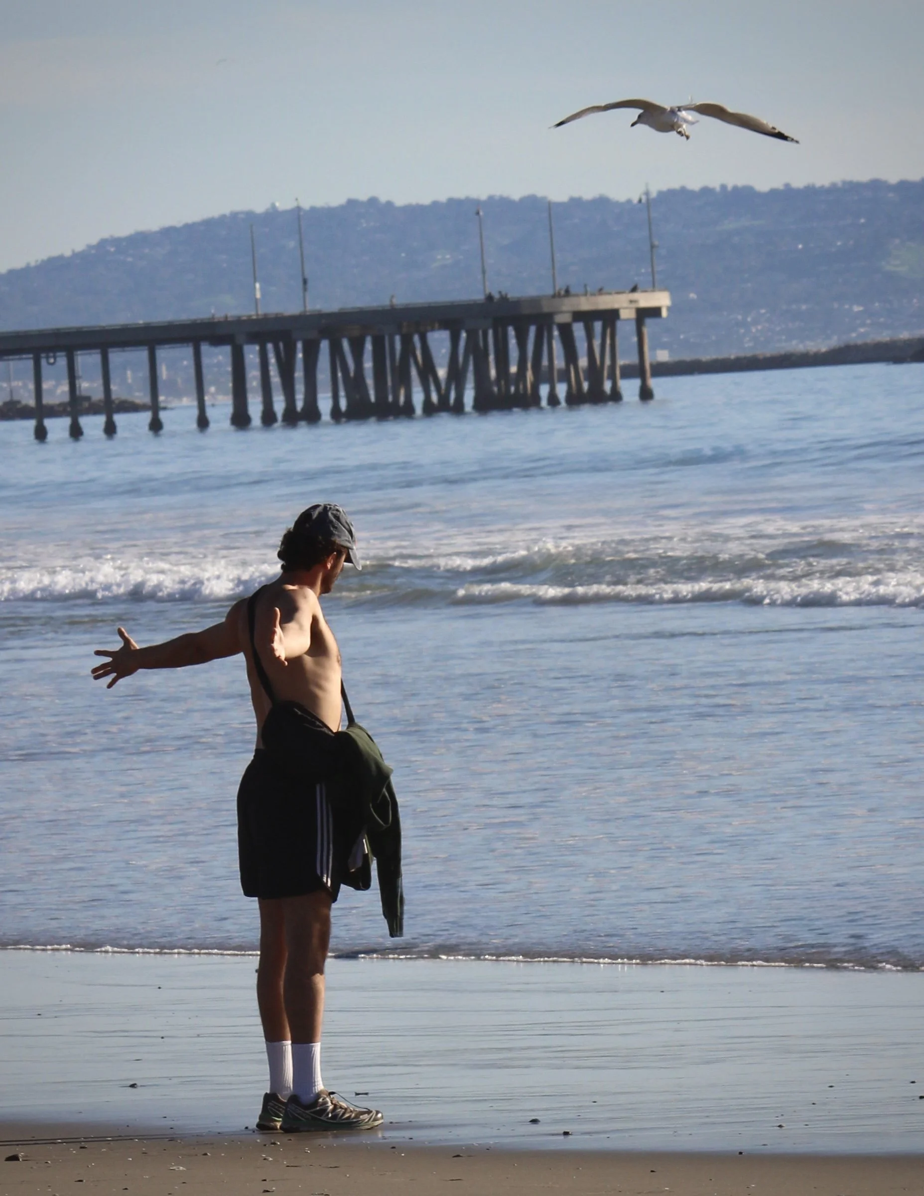A man standing on a sandy beach, holding a fish in his hand, with the ocean, a pier, and a bird flying above in the background.