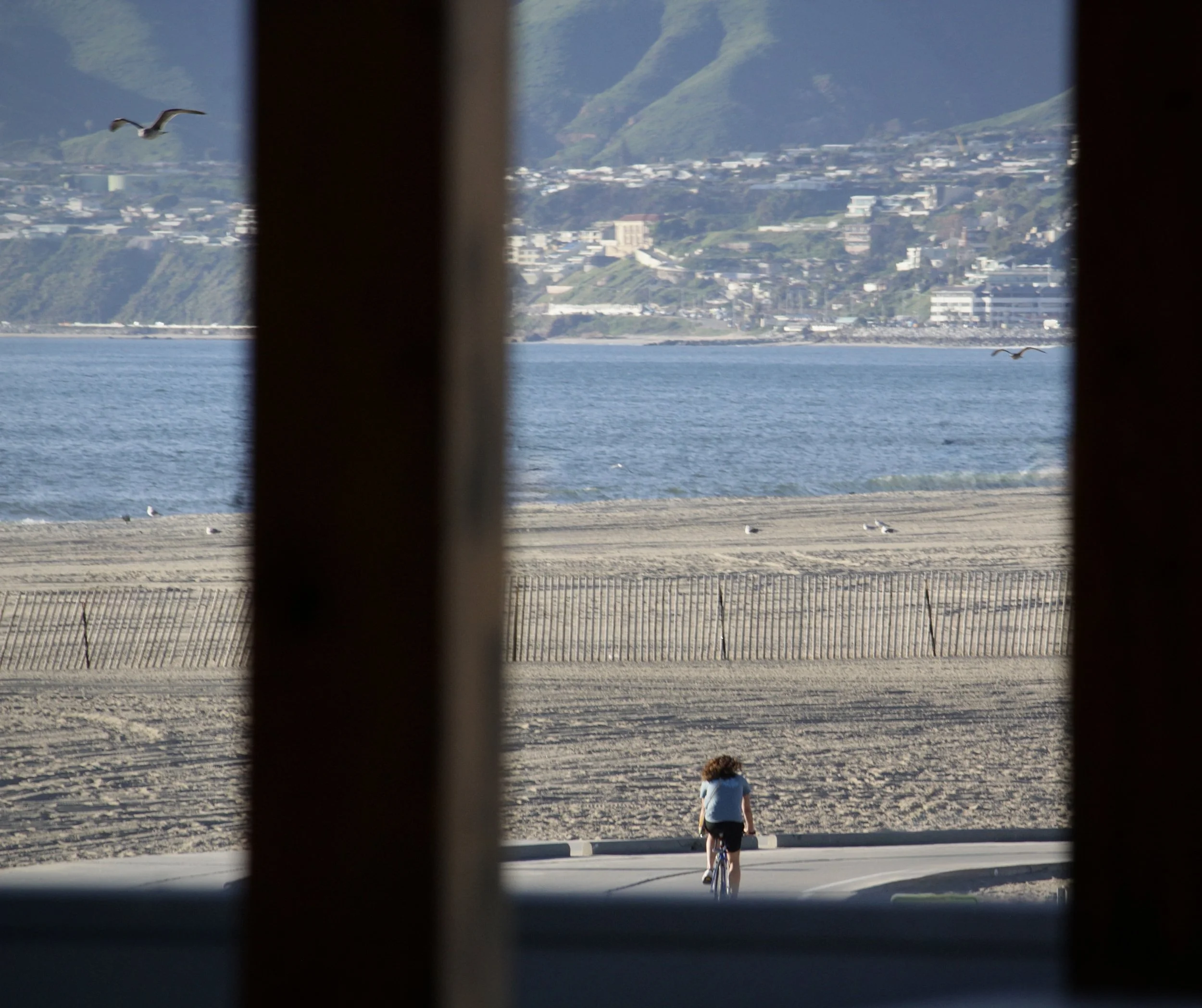 View of a beach with a person riding a bicycle on the road, seen through a window with vertical bars, overlooking ocean water, hills, and buildings in the background; seagulls flying in the sky.