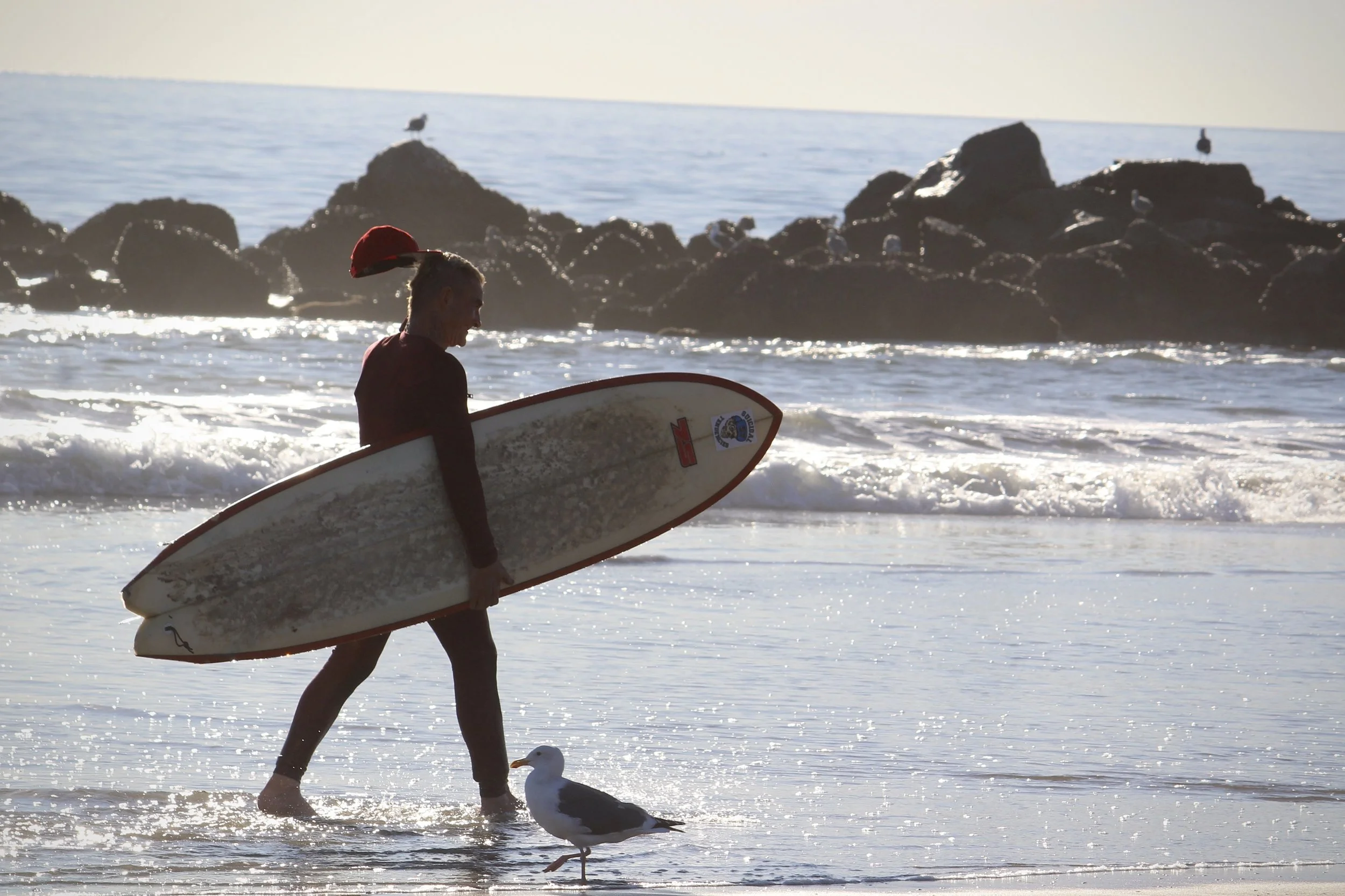 A man carrying a surfboard walking along the beach with seagulls around him and the ocean in the background.