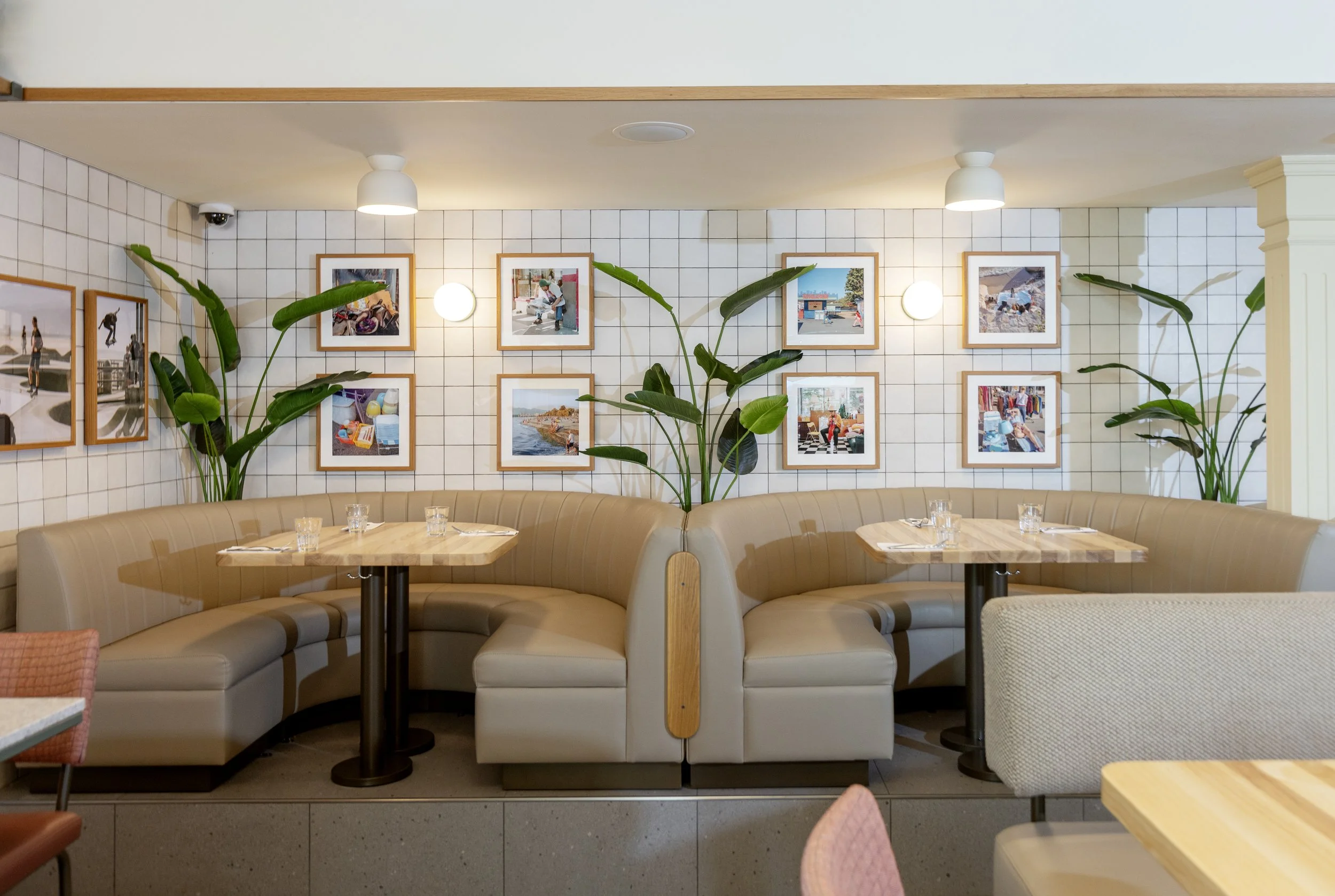 Birdies Art Curation