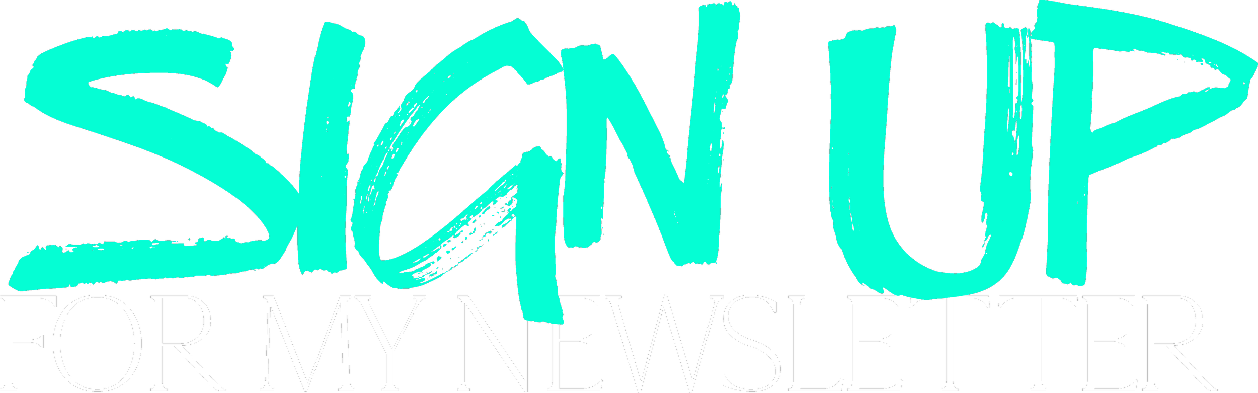 A stylized text saying "SILENT" in turquoise with a handwritten font over a black background, with smaller white text below reading "FOR MY NEWSLETTER".