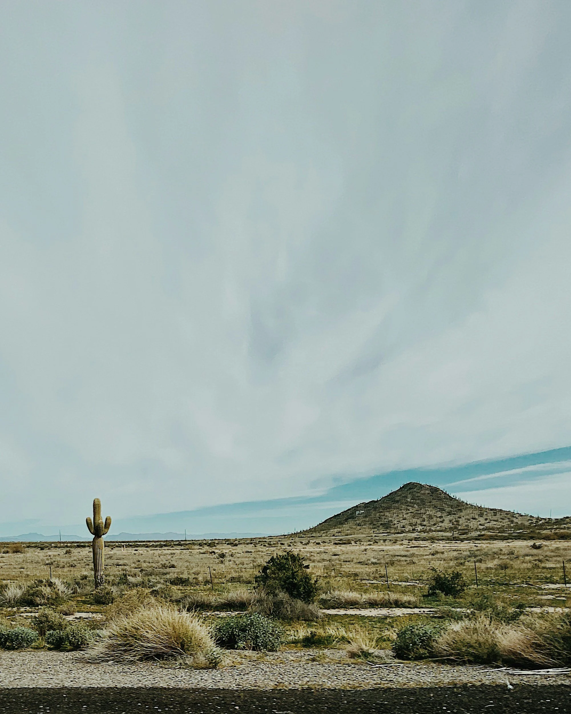 A desert landscape with a saguaro cactus in the foreground, a scattered shrub, a mountain in the background, and a partly cloudy sky.