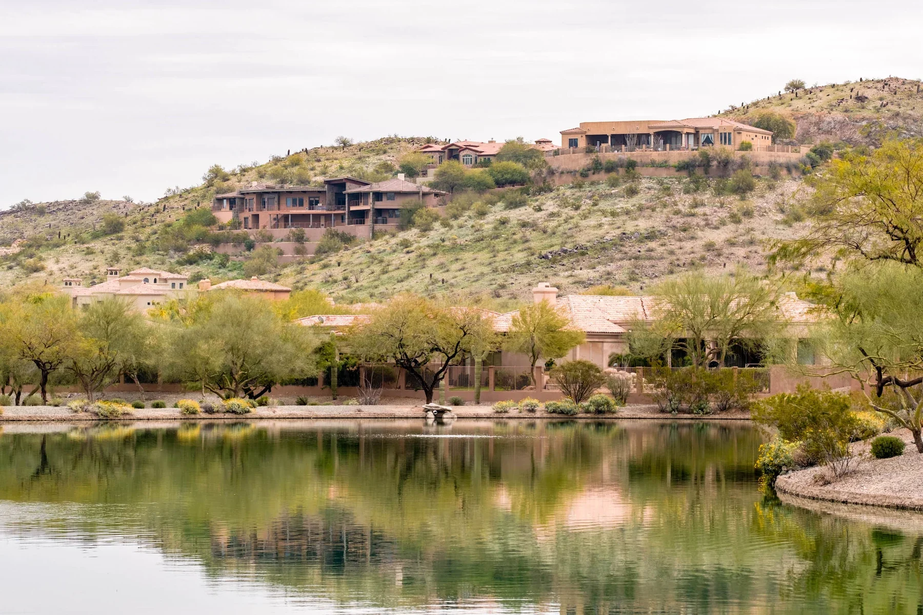 A gentle hill with two adobe houses and desert shrubbery overlook more houses below the hill. A pond in the foreground reflects trees and vignettes of the closest houses.