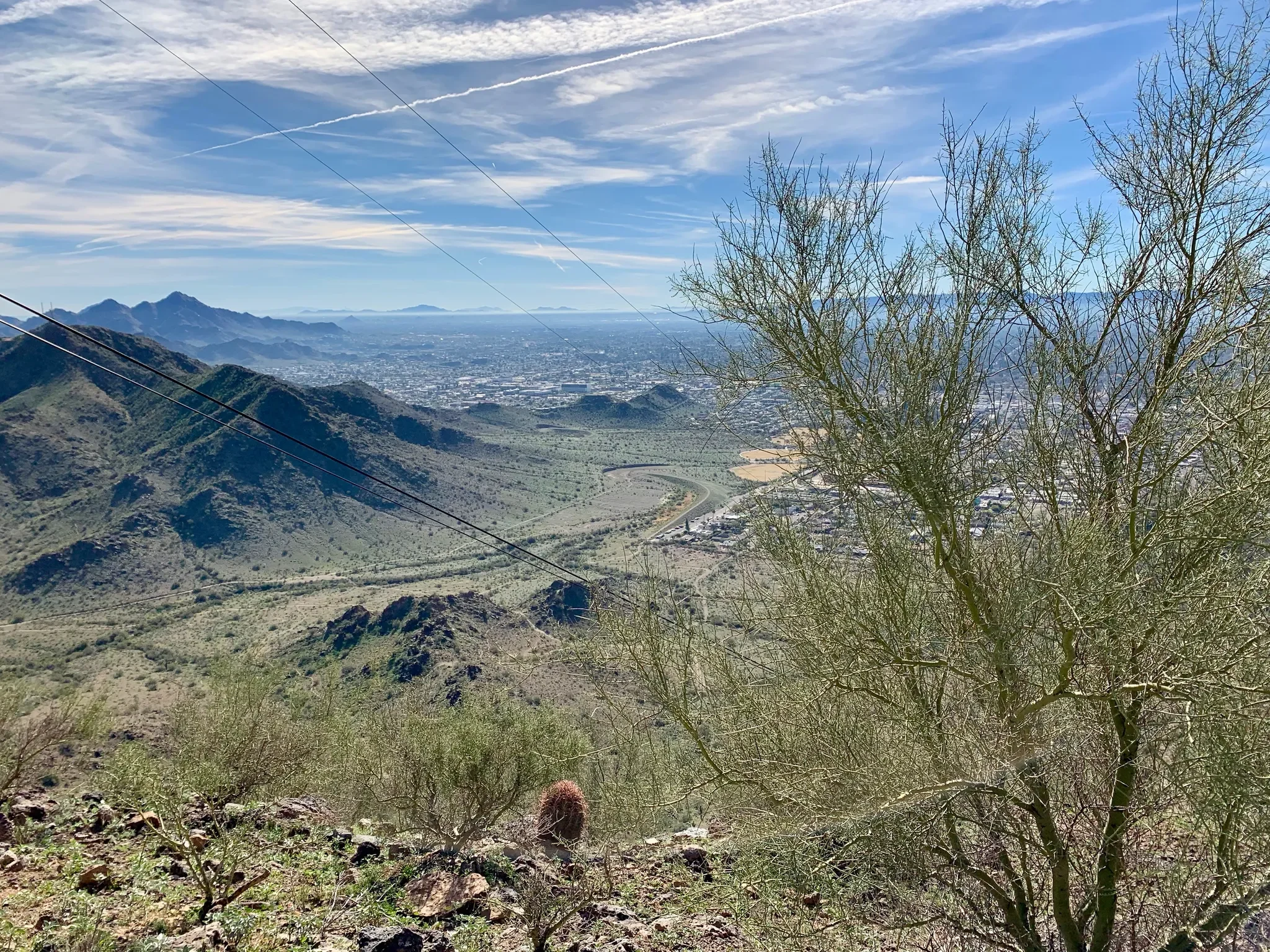In the foreground, a small tree and over scrubby vegetation cover the top of a mountain ridge. The view looks out over other mountain peaks rising from flatlands, and a glimpse of residential neighborhoods can be seen at the right of the image.