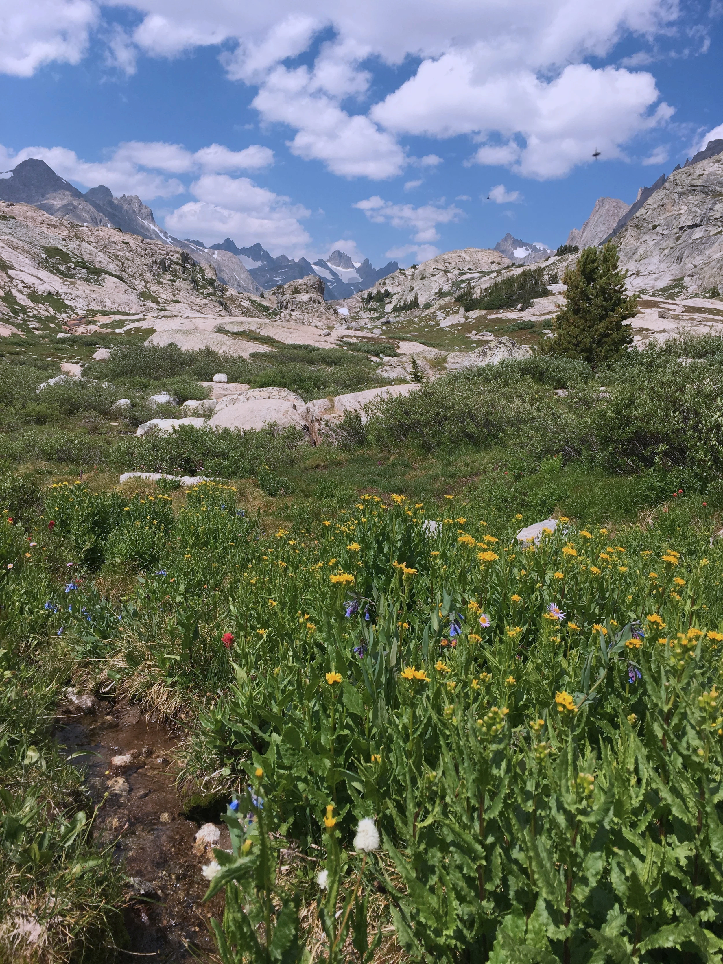 Mountain landscape with rocky peaks, green vegetation, and colorful wildflowers near a small stream under a partly cloudy sky.