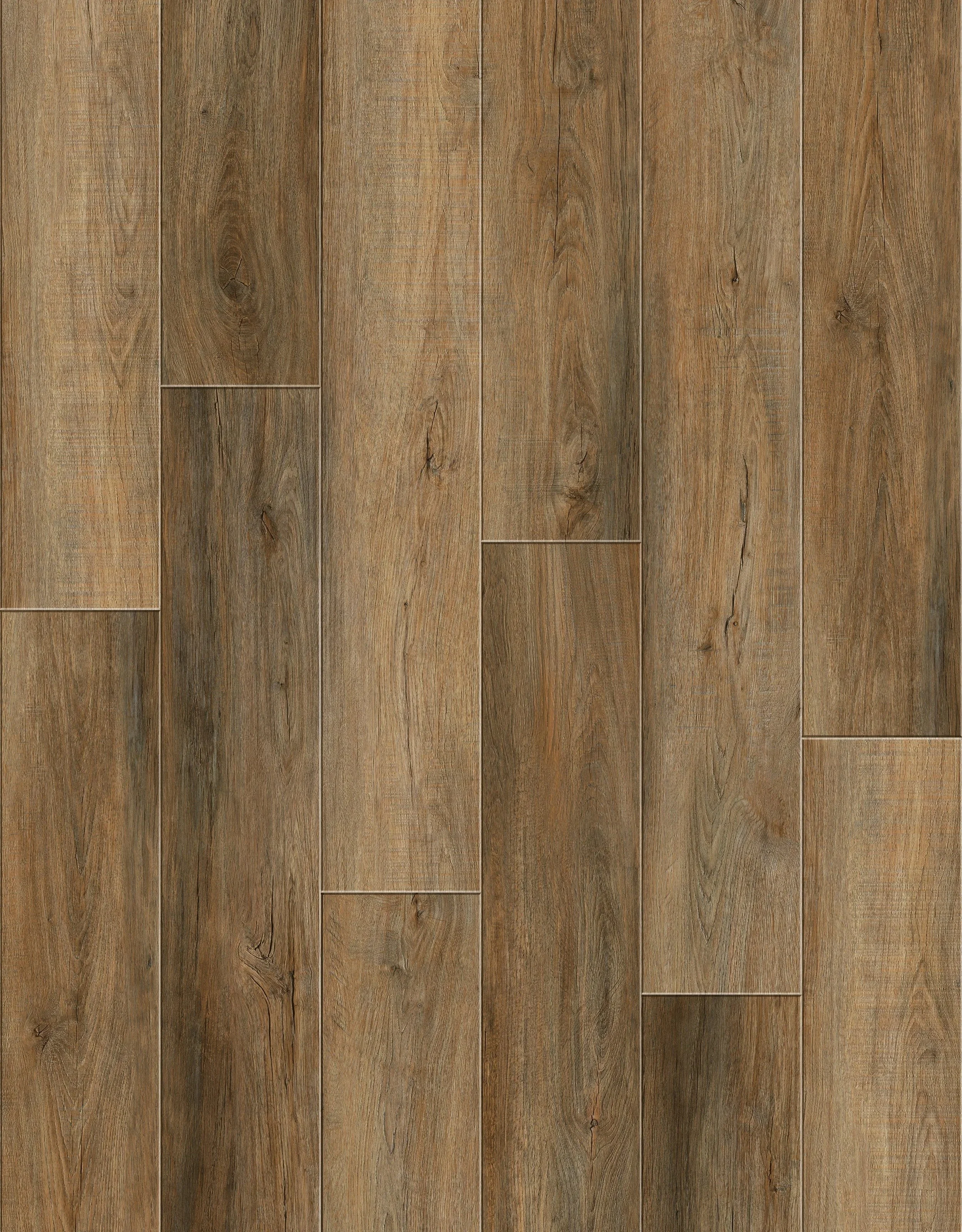 imgi_40_D03+LQ6169-5Layout.jpg