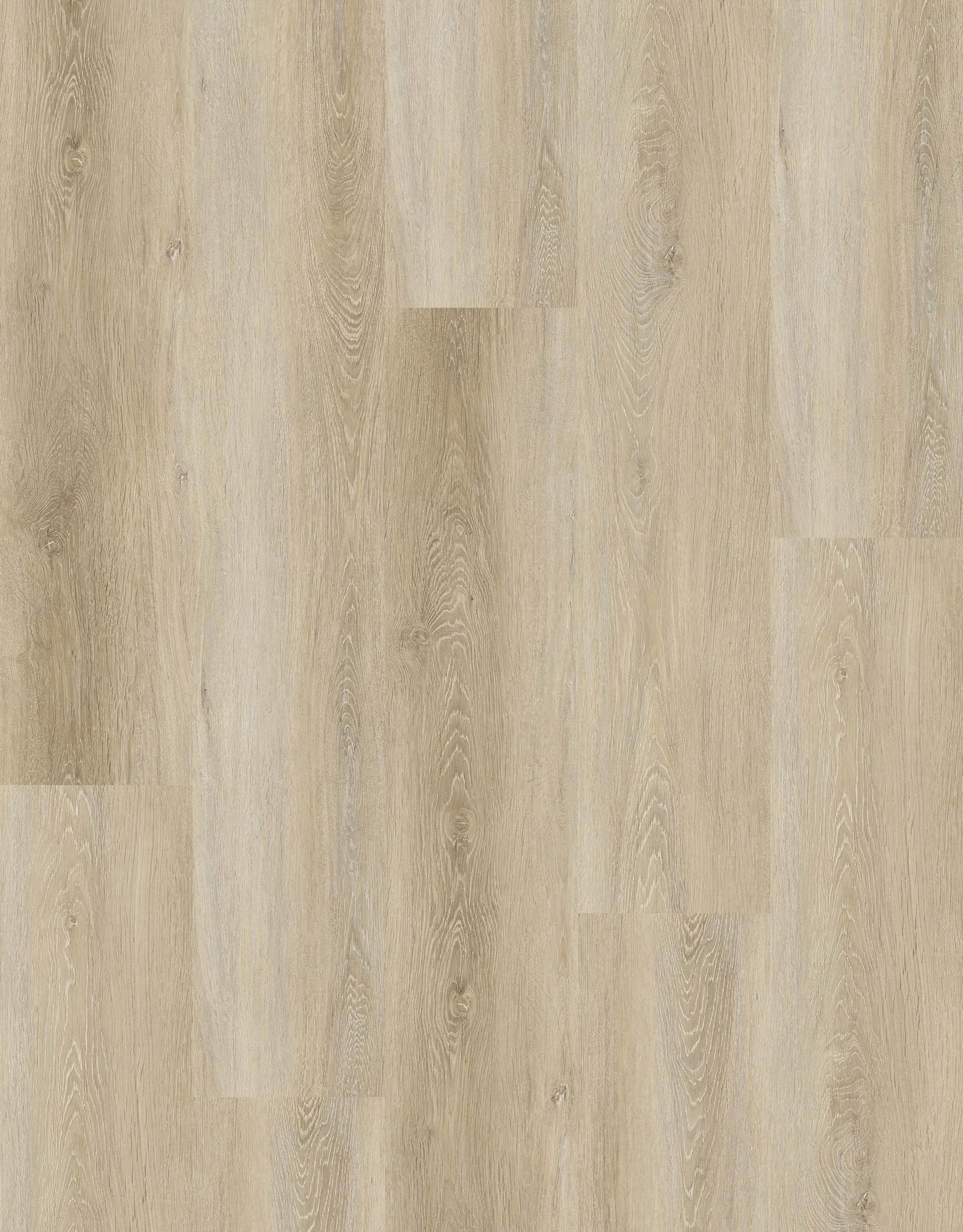 imgi_24_RS8903+LQ6265-5Layout.jpg