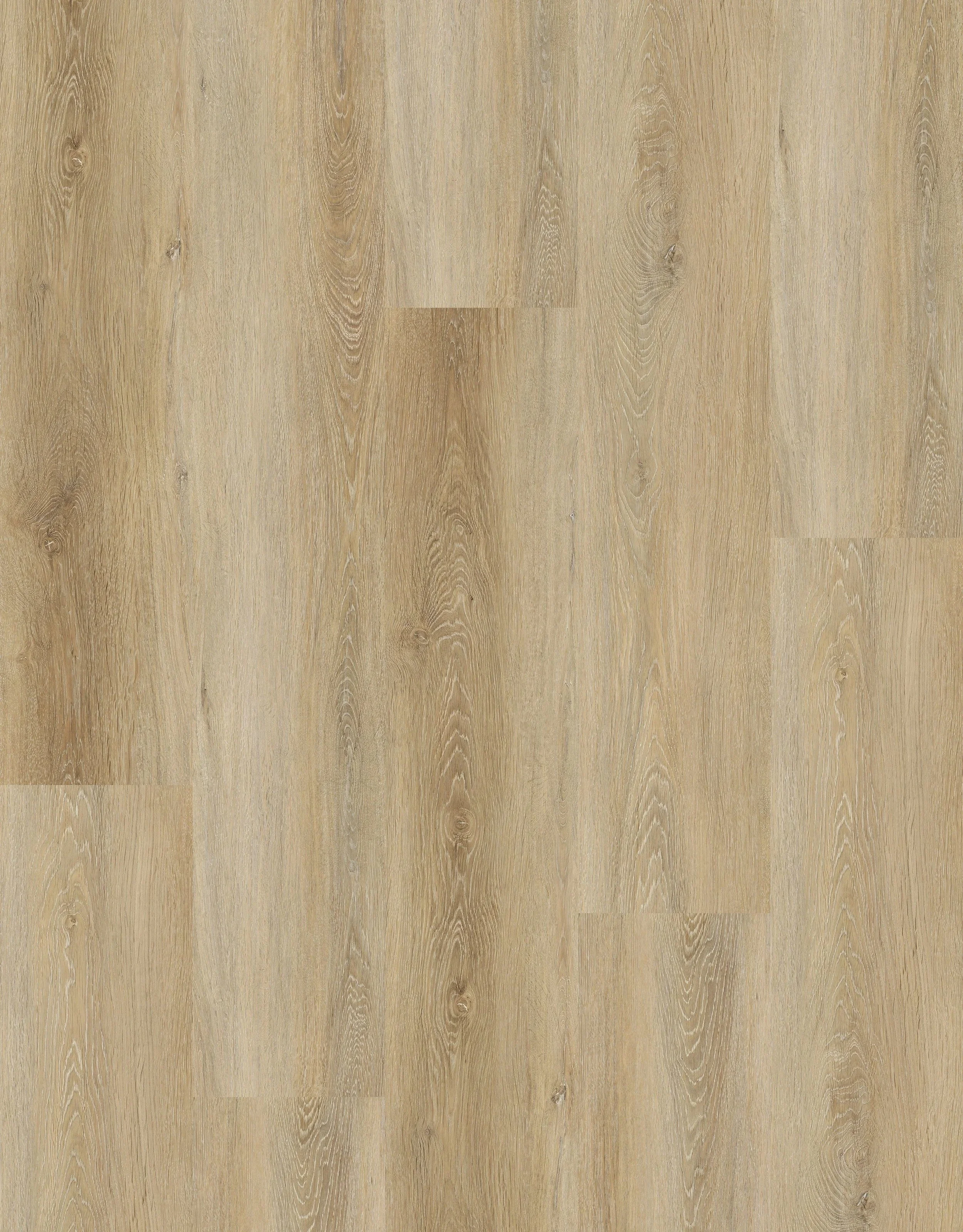 imgi_40_RS8902+LQ6265-7Layout.jpg