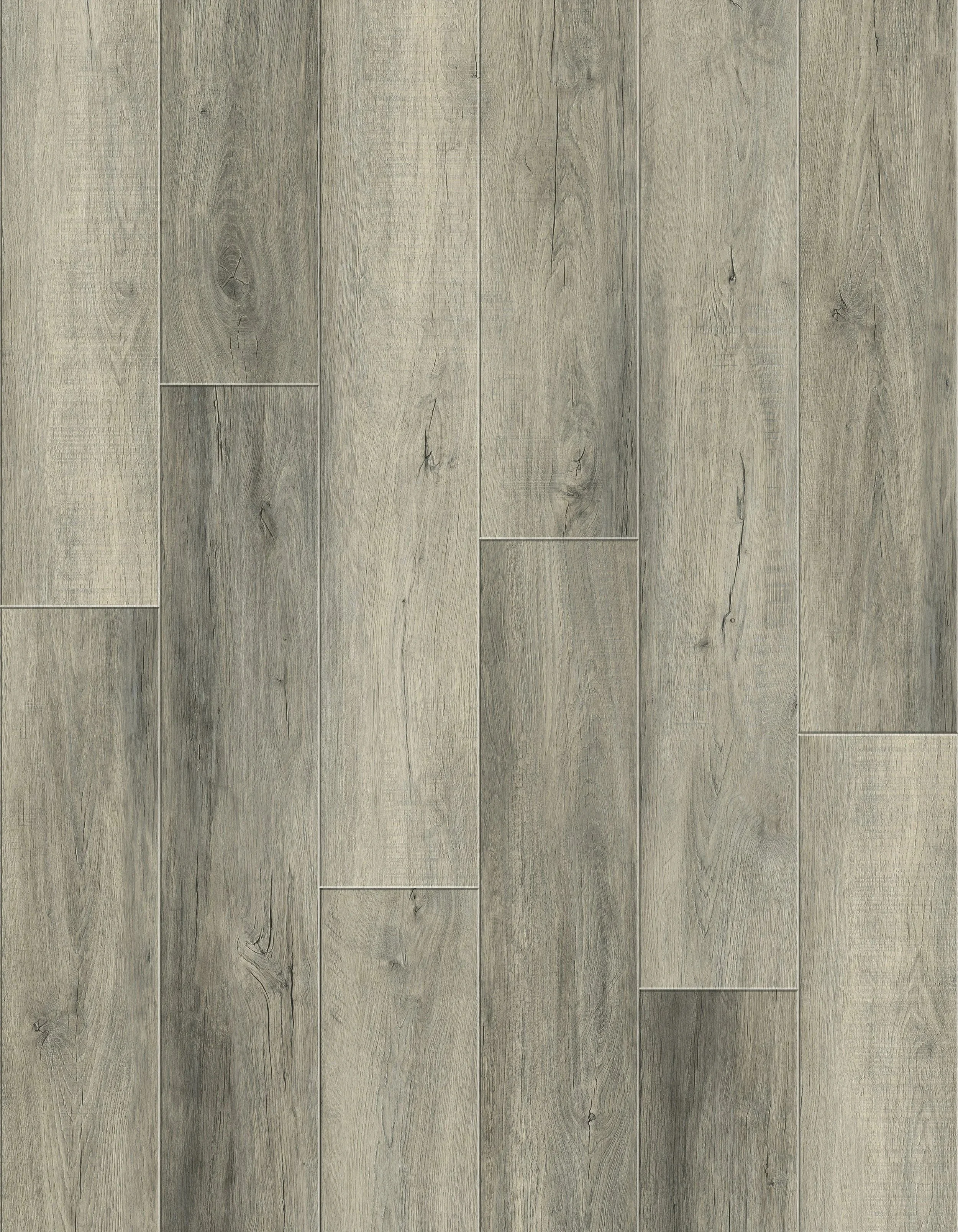 imgi_24_D04+LQ6169-9Layout.jpg