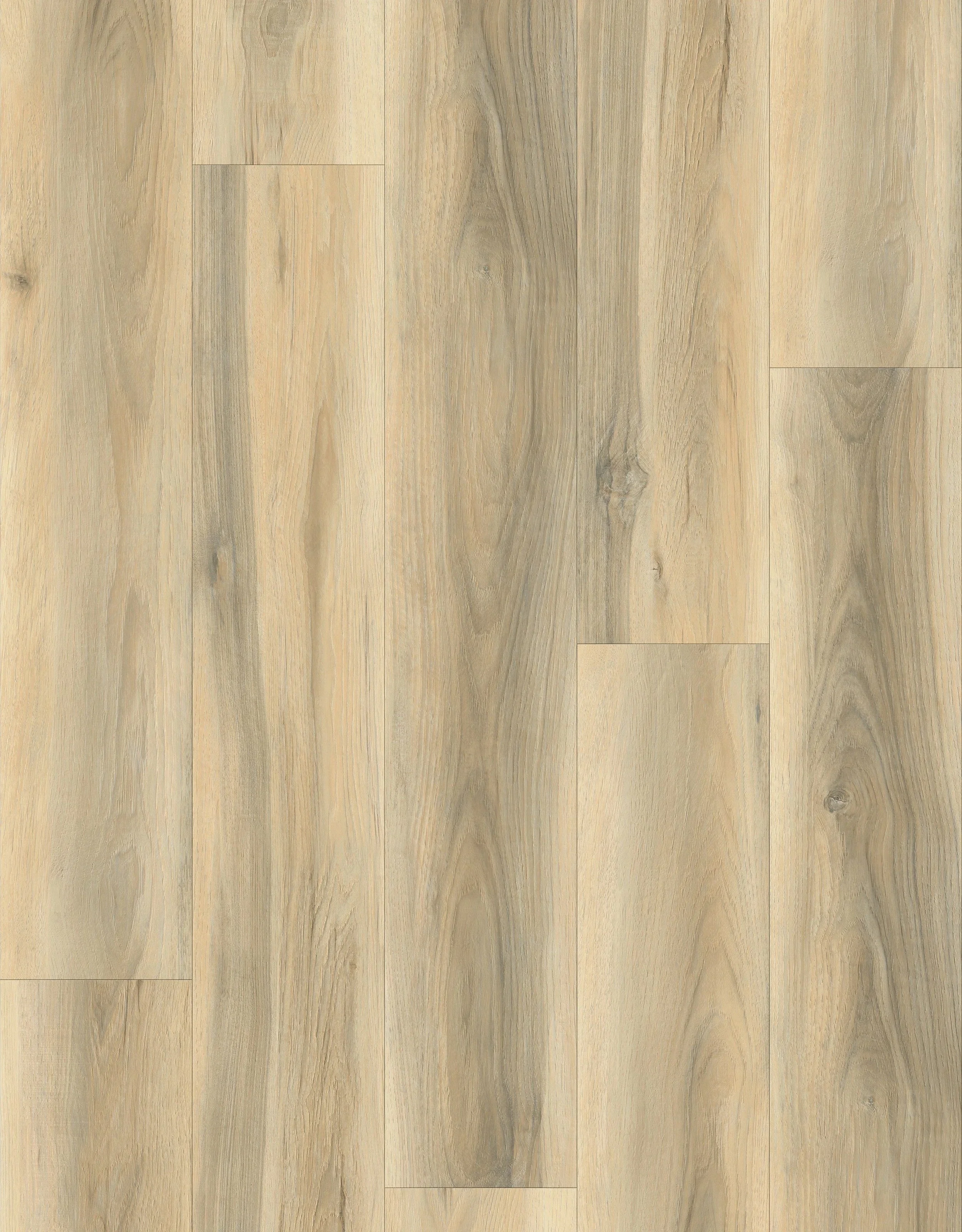 imgi_40_D06+LQ6181-1Layout.jpg