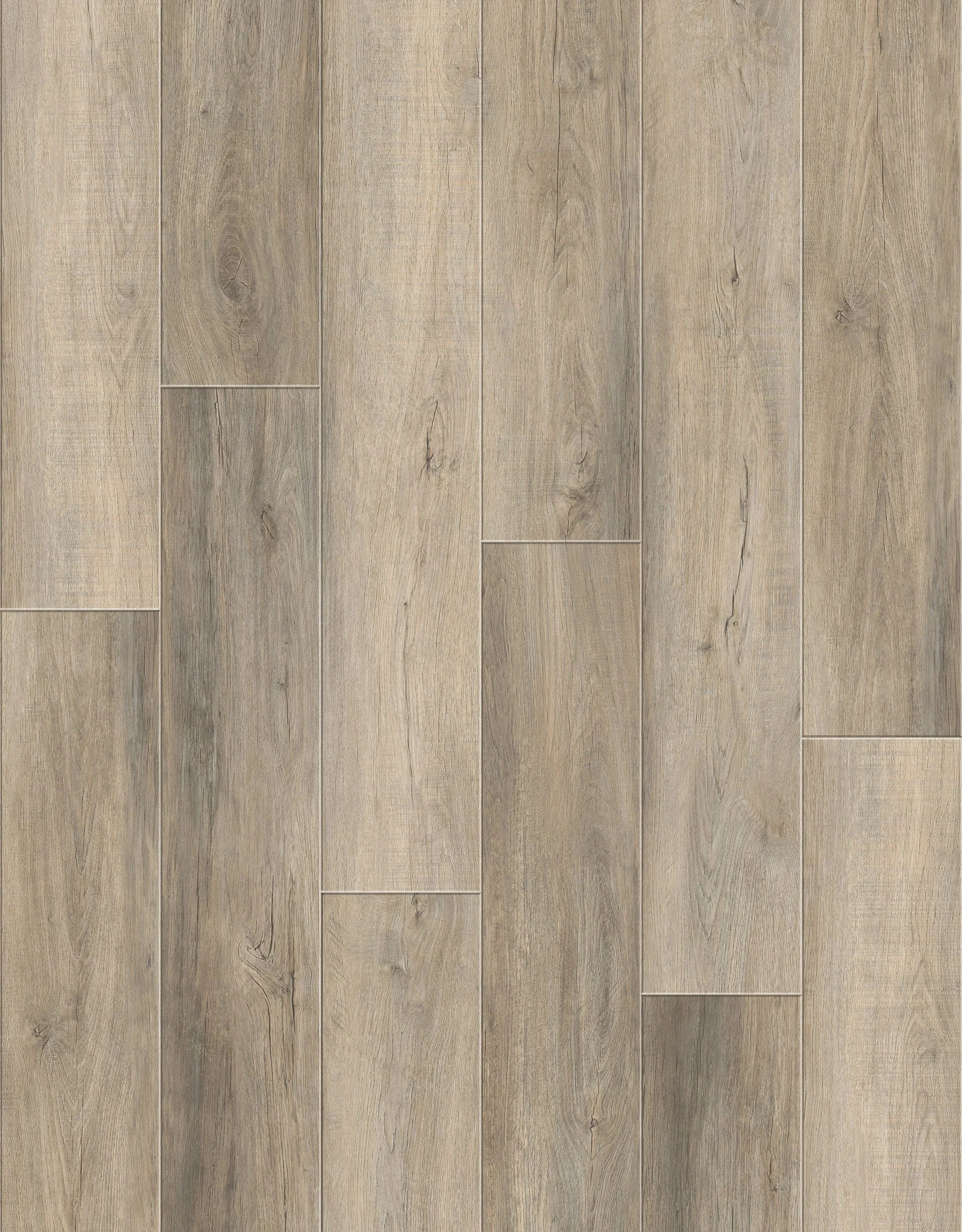 imgi_40_D01+LQ6169-3Layout.jpg