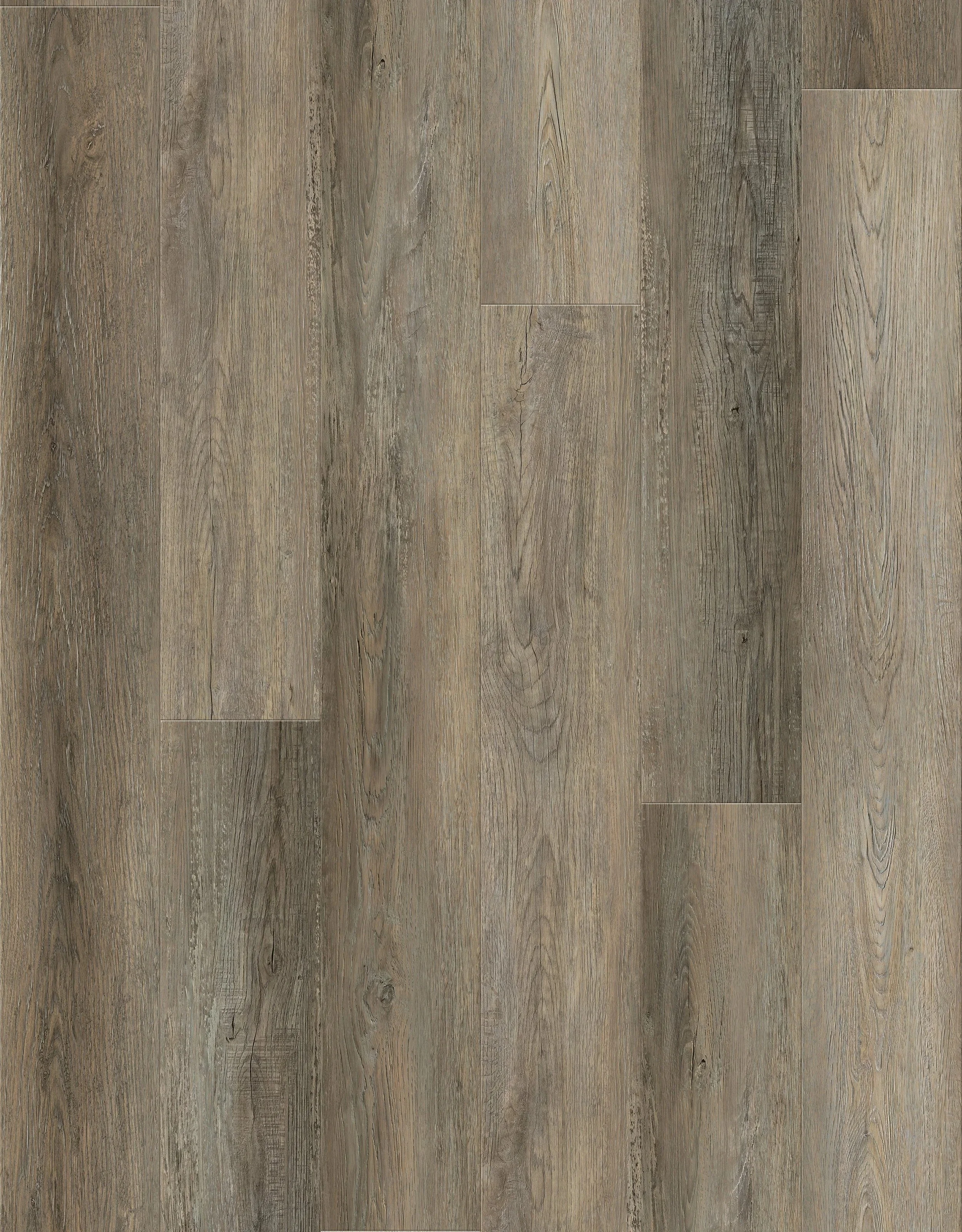 imgi_40_C-06+LQ6173-1Layout.jpg