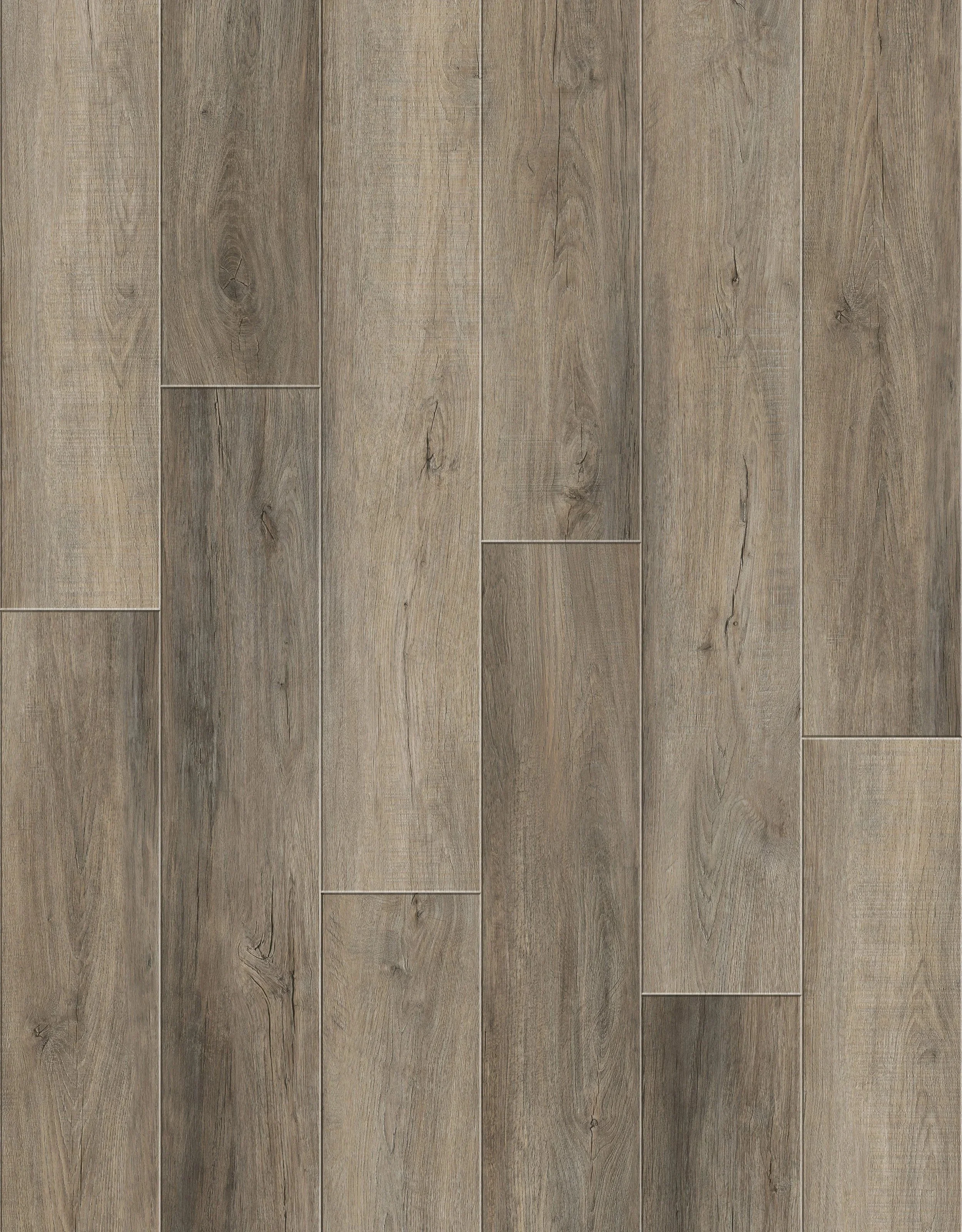 imgi_40_D02+LQ6169-4Layout.jpg