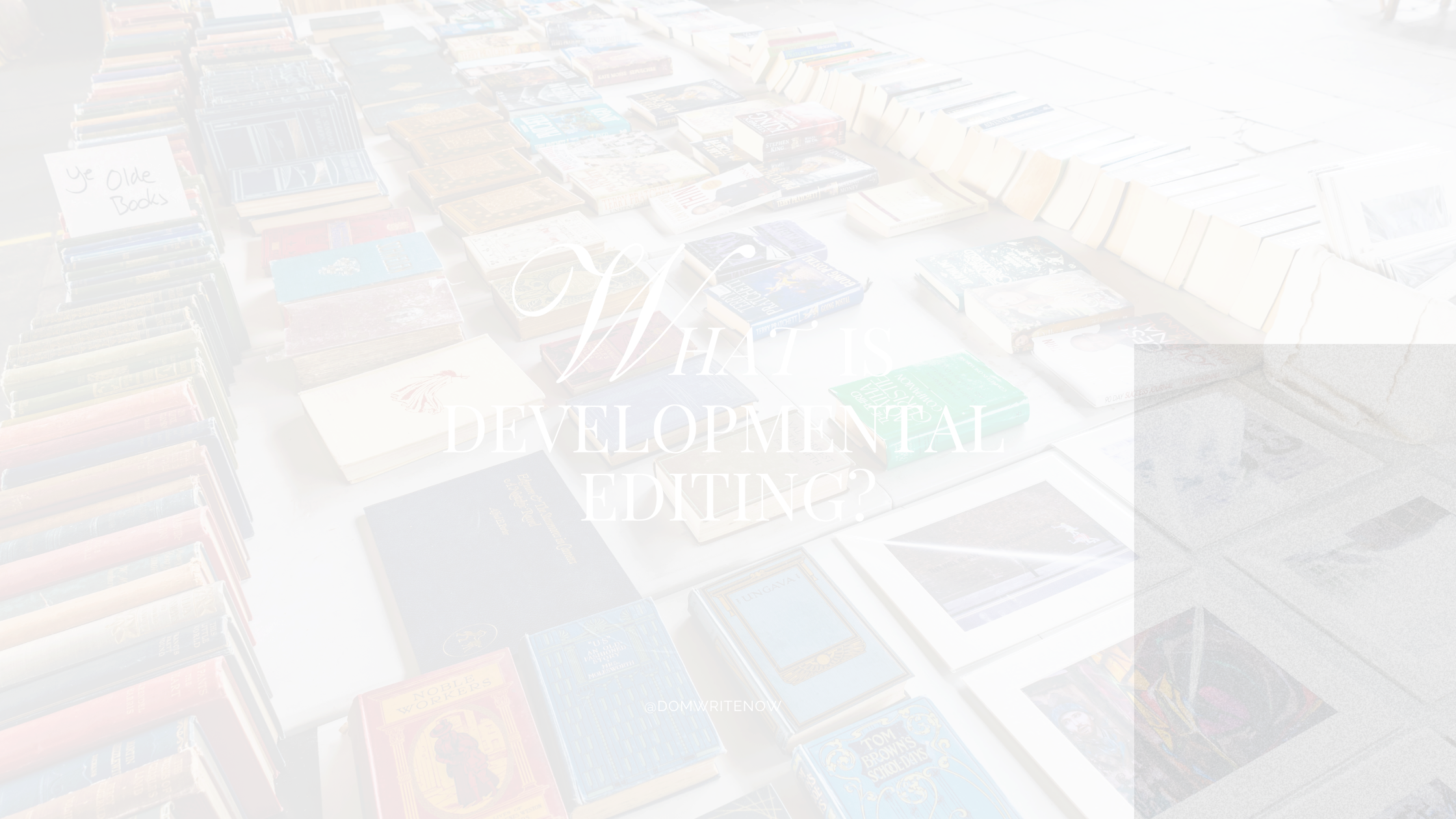 What Is Developmental Editing — And Do You Need It?