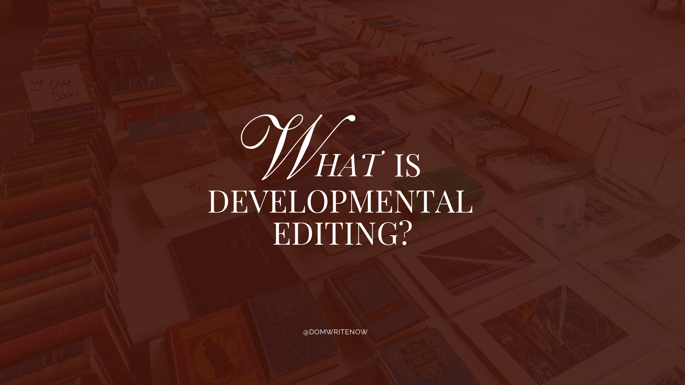 What Is Developmental Editing — And Do You Need It?