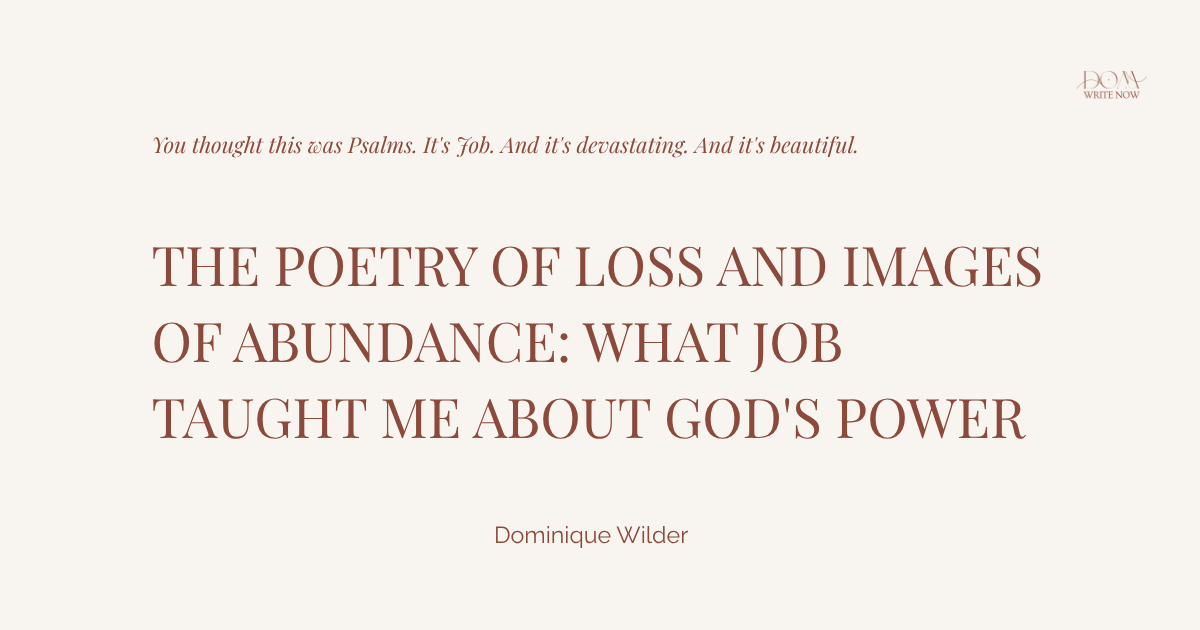 The Poetry of Loss and Images of Abundance: What Job Taught Me About God's Power