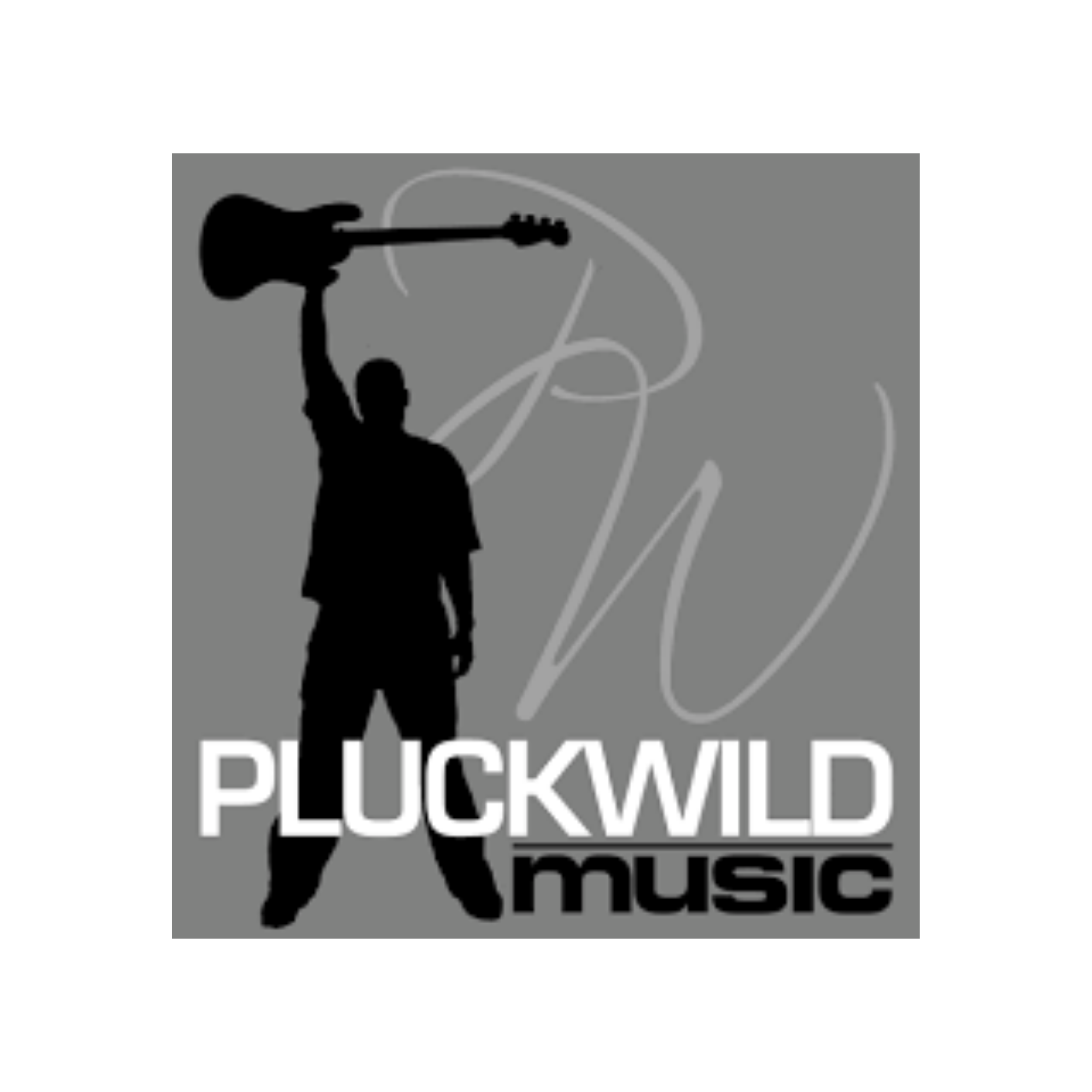 Pluckwild Music
Website and design for Bryant Wilder — a musician whose brand needed to match the energy he brings to every stage.
