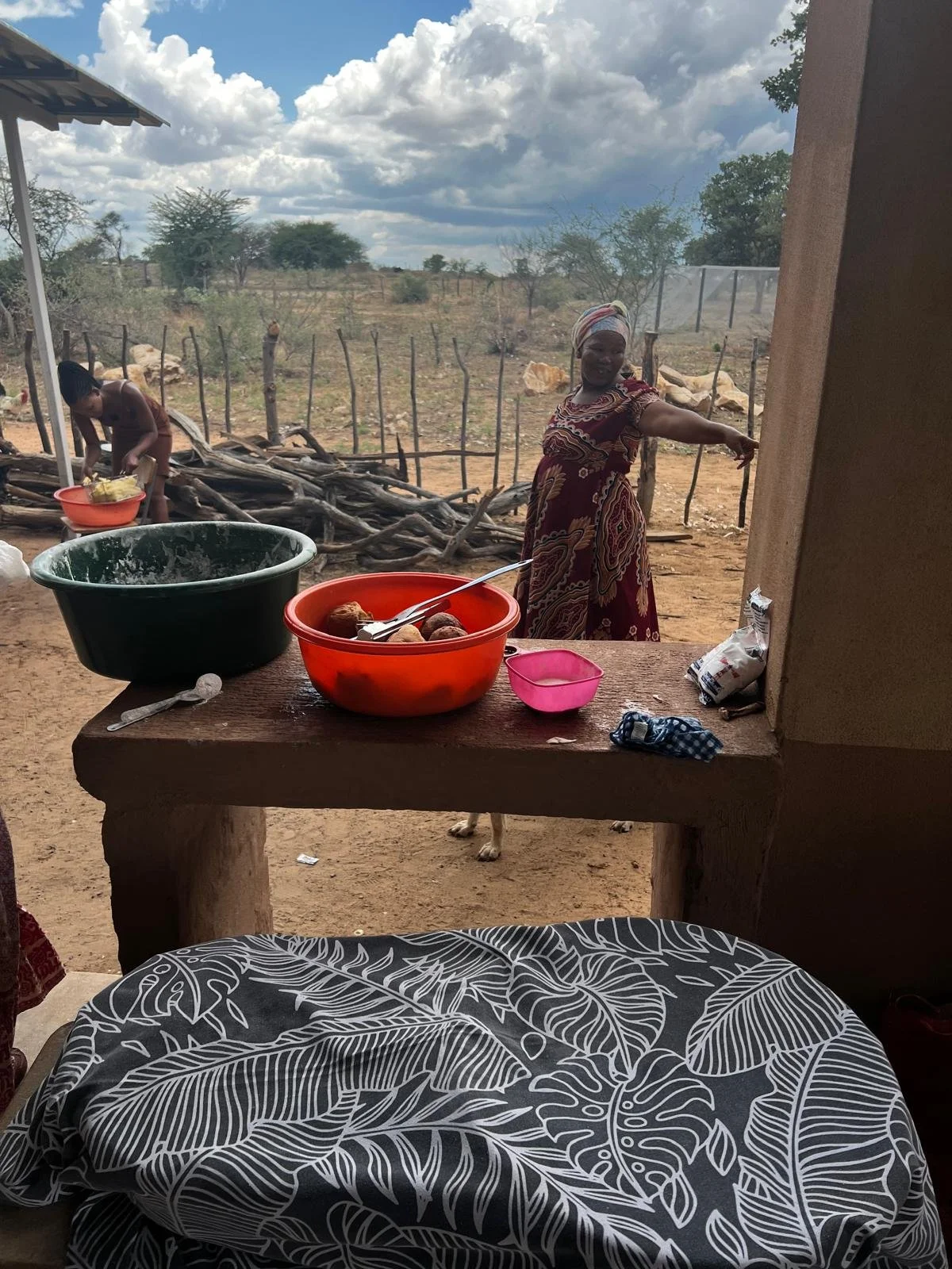 A woman standing outside near a fence, pointing, with a boy in the background washing dishes. There are bowls and utensils on a wooden table, and a dog is underneath the table. The scene is set in a rural area with trees and cloudy sky in the distance.