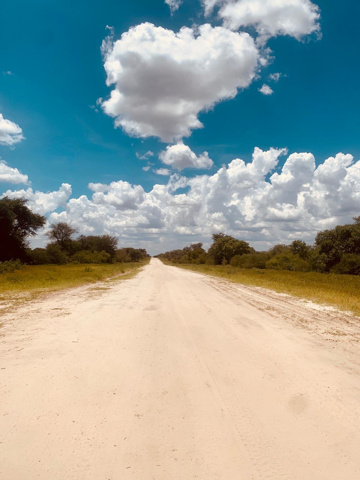 A straight dirt road with green trees on both sides, under a blue sky with scattered white clouds.