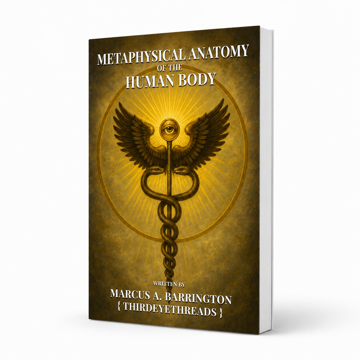 Metaphysical Anatomy of The Human Body (Paperback)