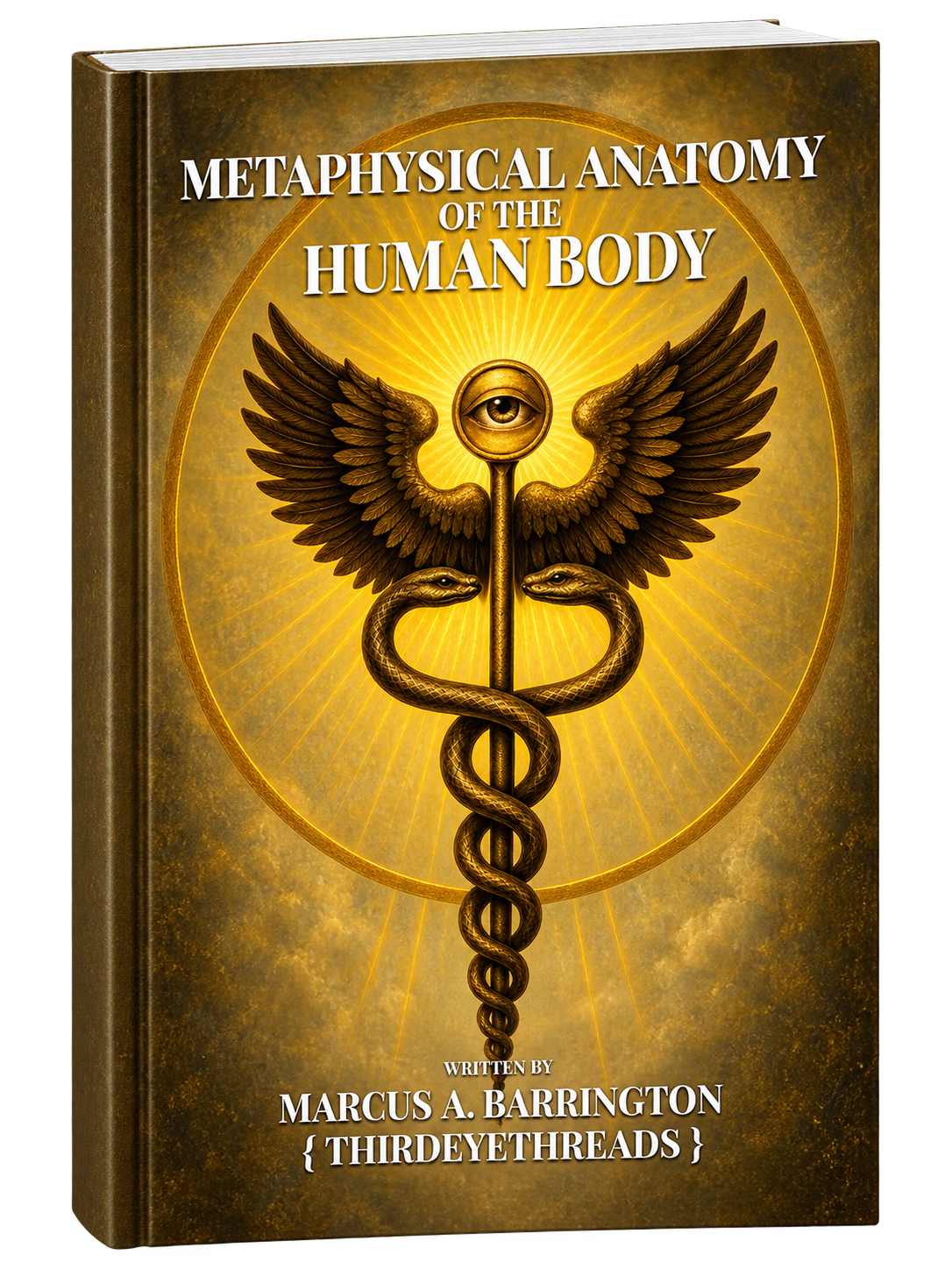 Metaphysical Anatomy (Paperback)