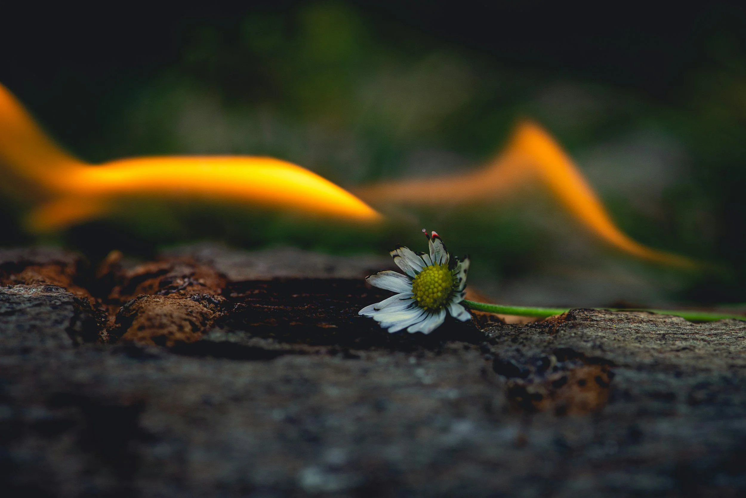 Why Creative Women Burn Out and 3 Signs It Might Be Happening to You
