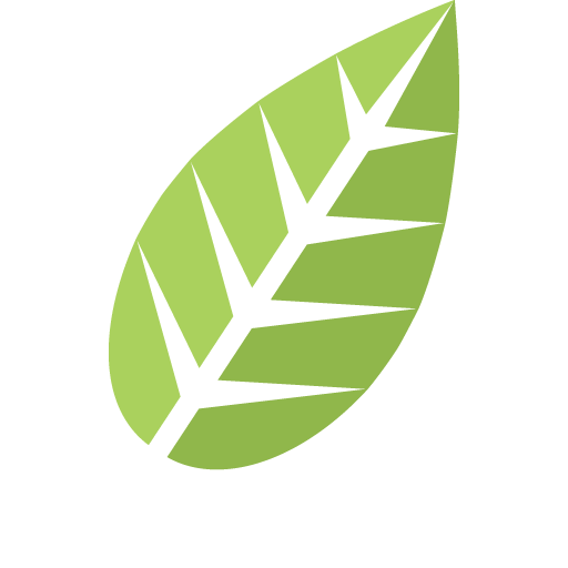 A stylized green leaf with black vein details.