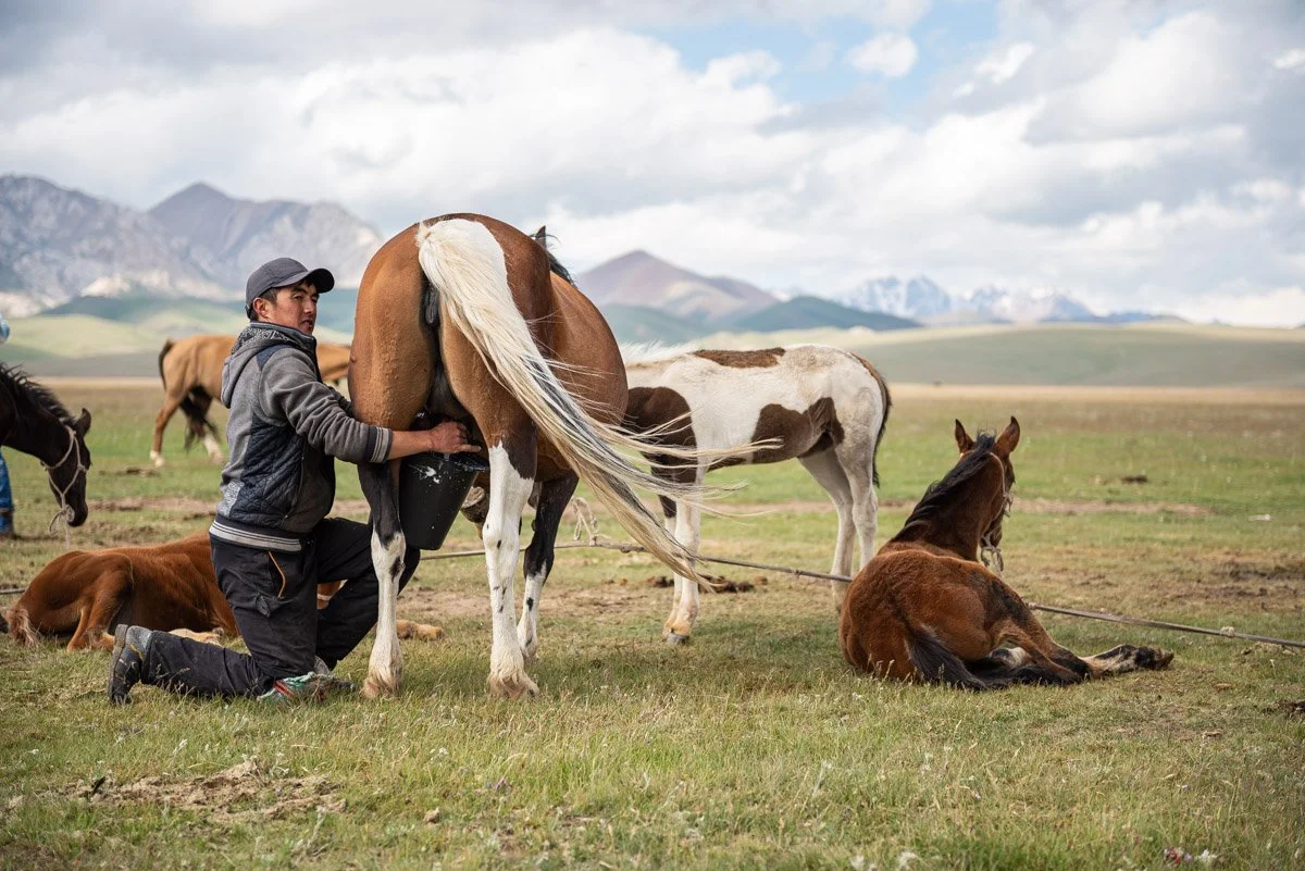 Kyrgyzstan-4232Low res.jpg
