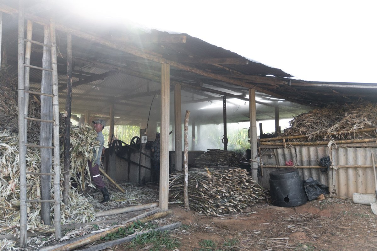 Colombia-1161Low res.jpg