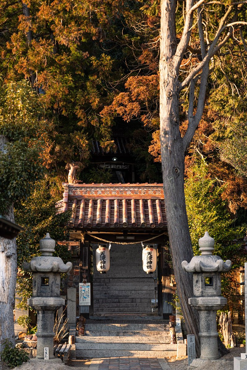 Japan-9289Low res.jpg