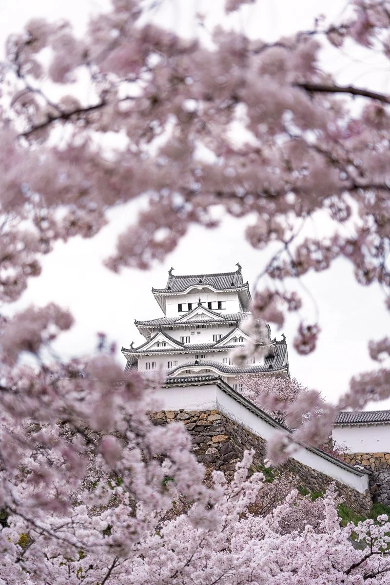 Japan-2415 - LowRes.jpg