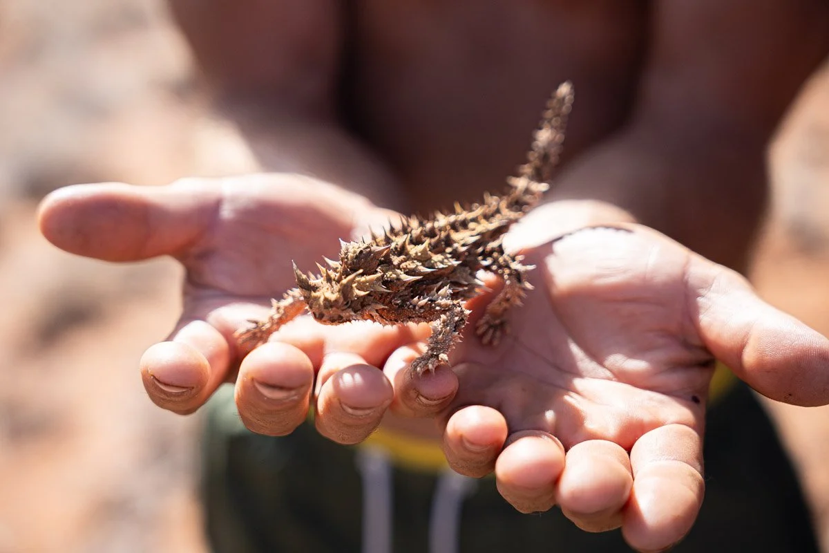Western Australia-3874Low res.jpg