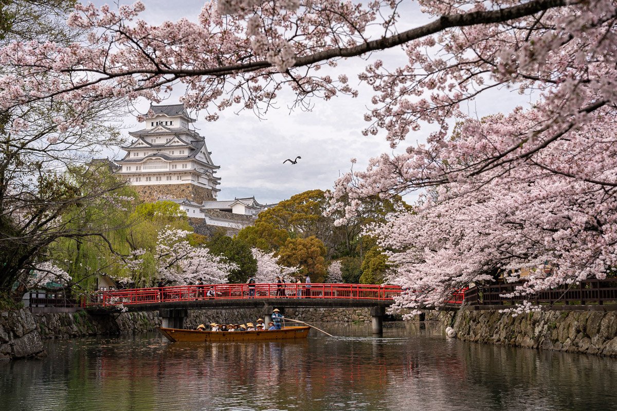 Japan-2455 - LowRes.jpg
