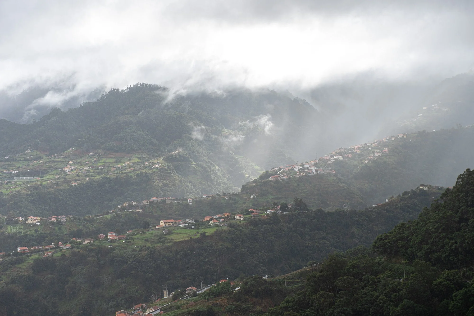 Madeira - 5273.jpg