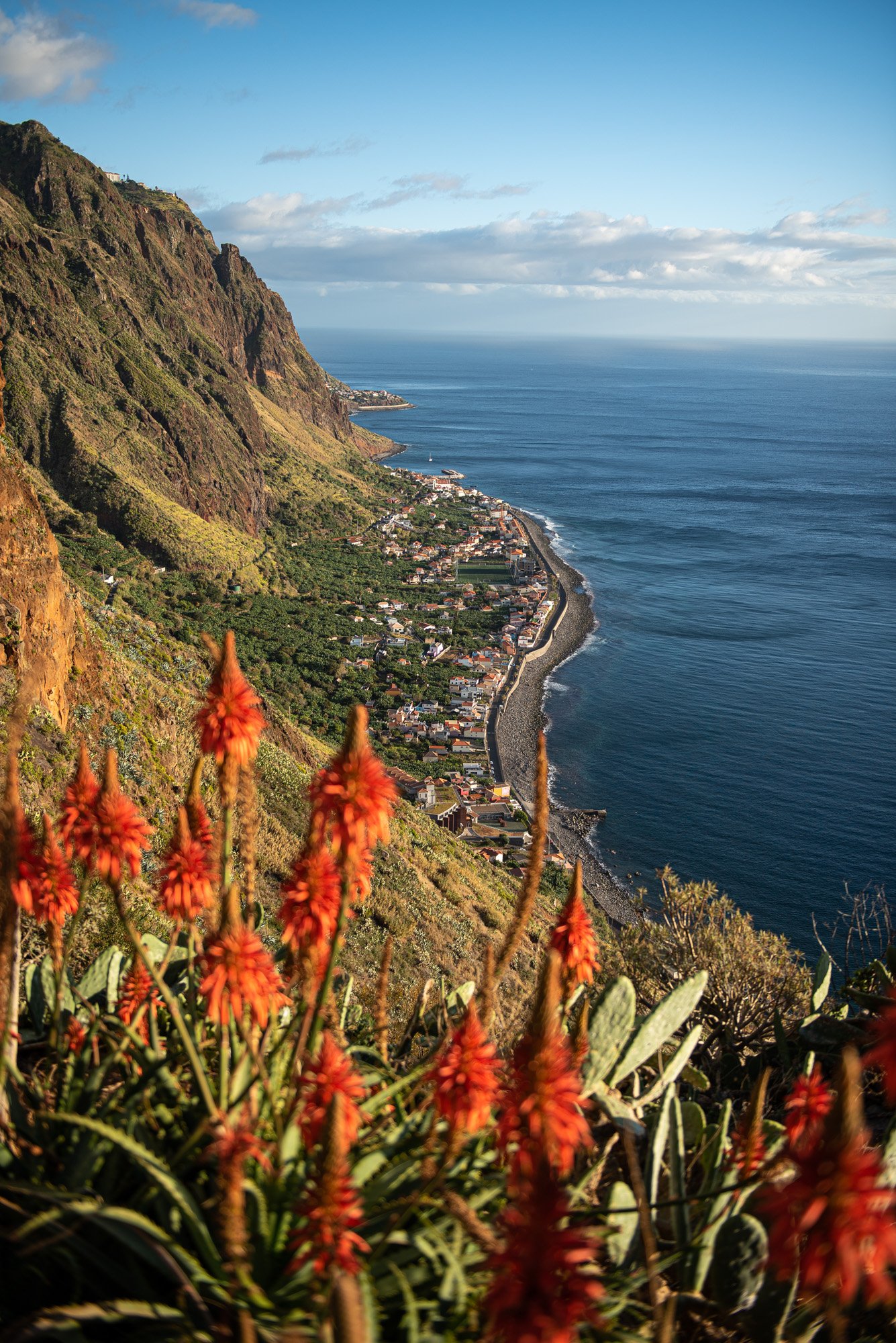 Madeira - 4795.jpg
