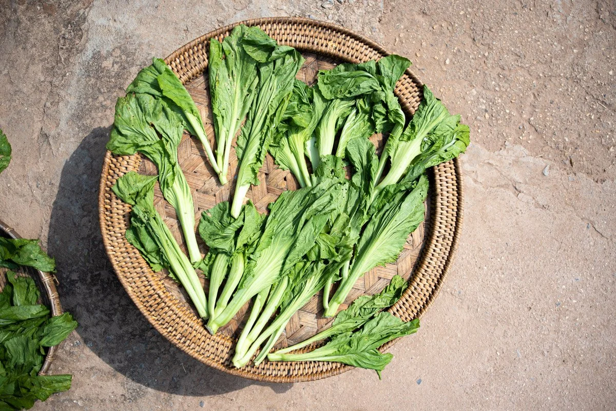 Fresh green leafy vegetables laid out on a circular woven basket outside on the ground.