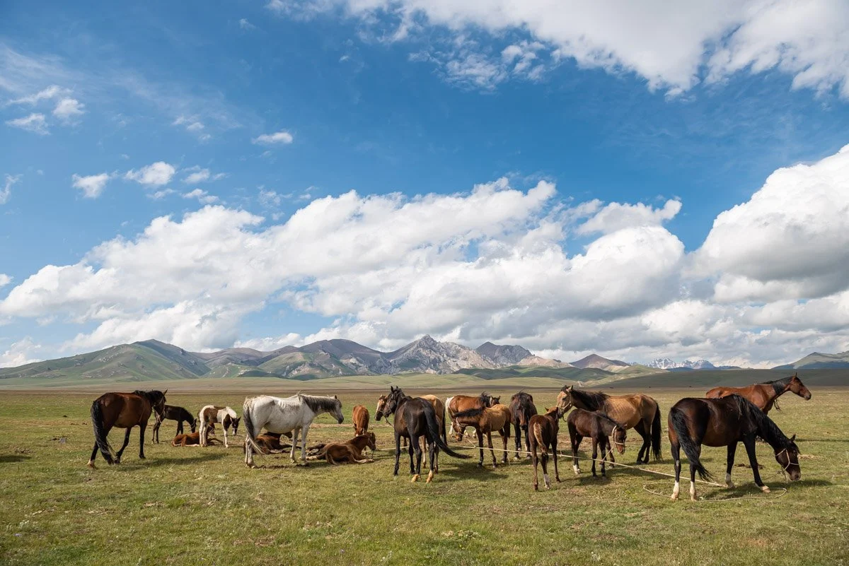 Kyrgyzstan-4241 - LowRes.jpg