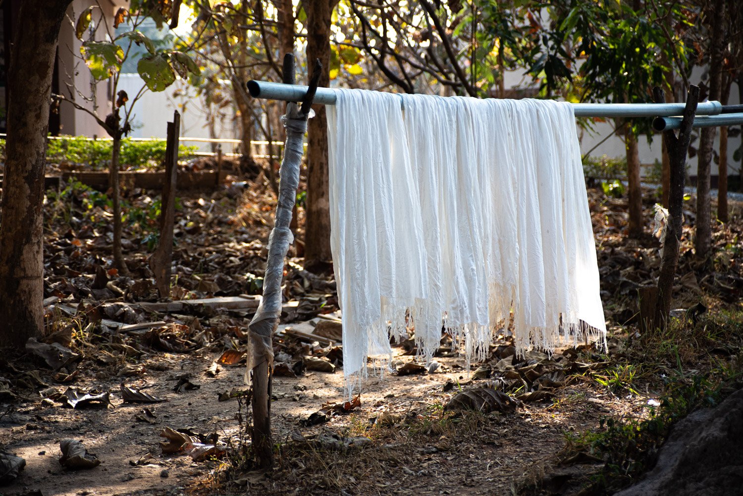 Lao Silk - 6474.jpg