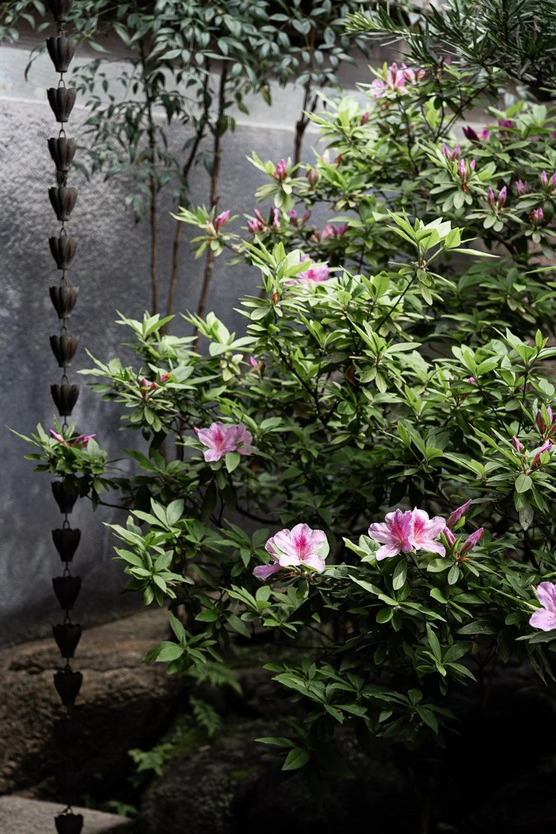 Kanazawa-4592.jpg