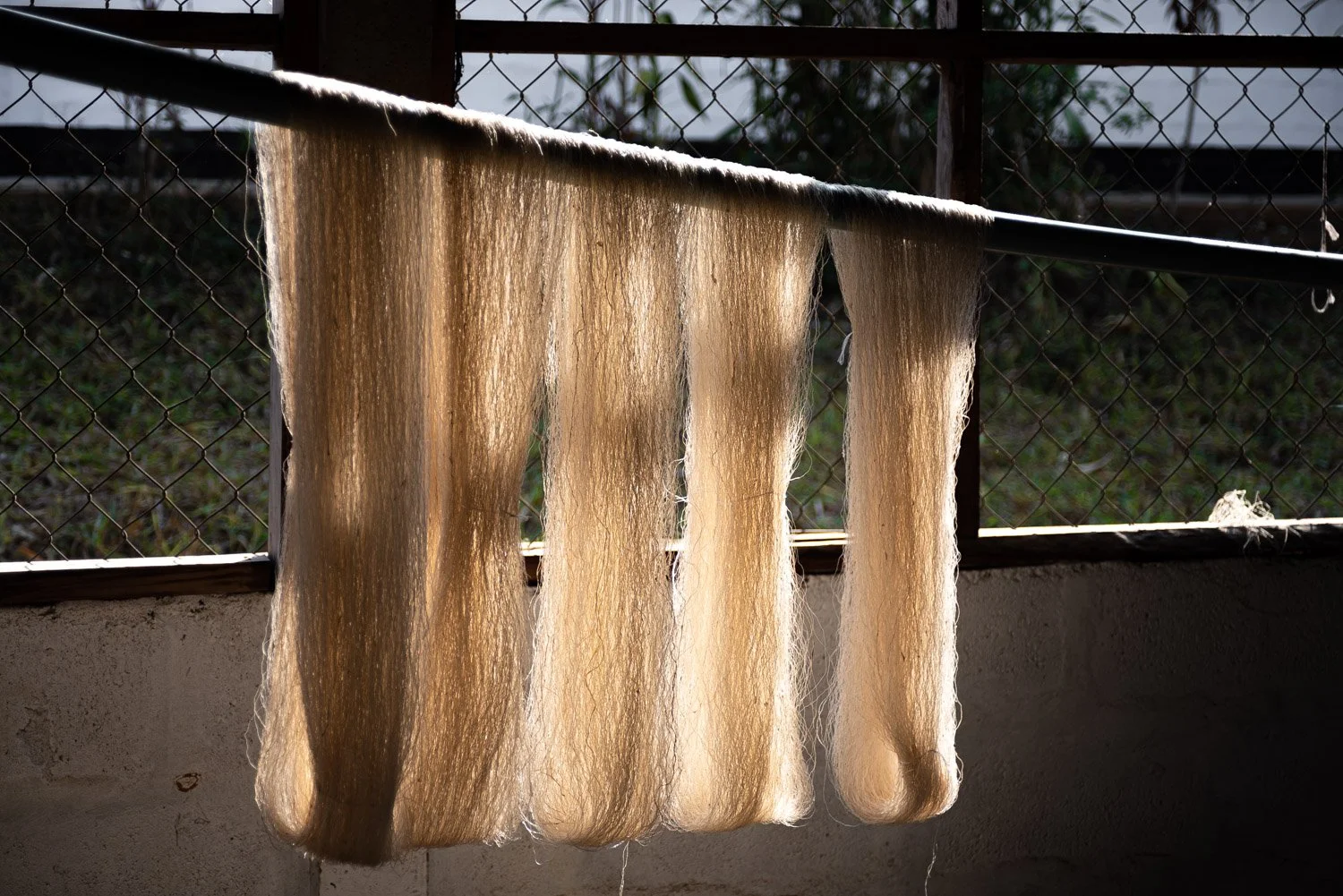 Lao Silk - 6460.jpg