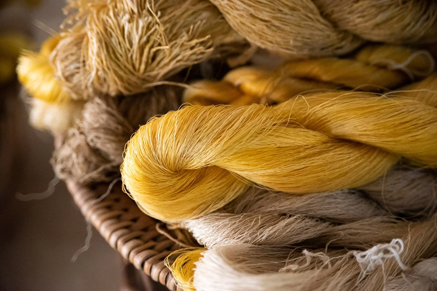 Lao Silk - 6425.jpg