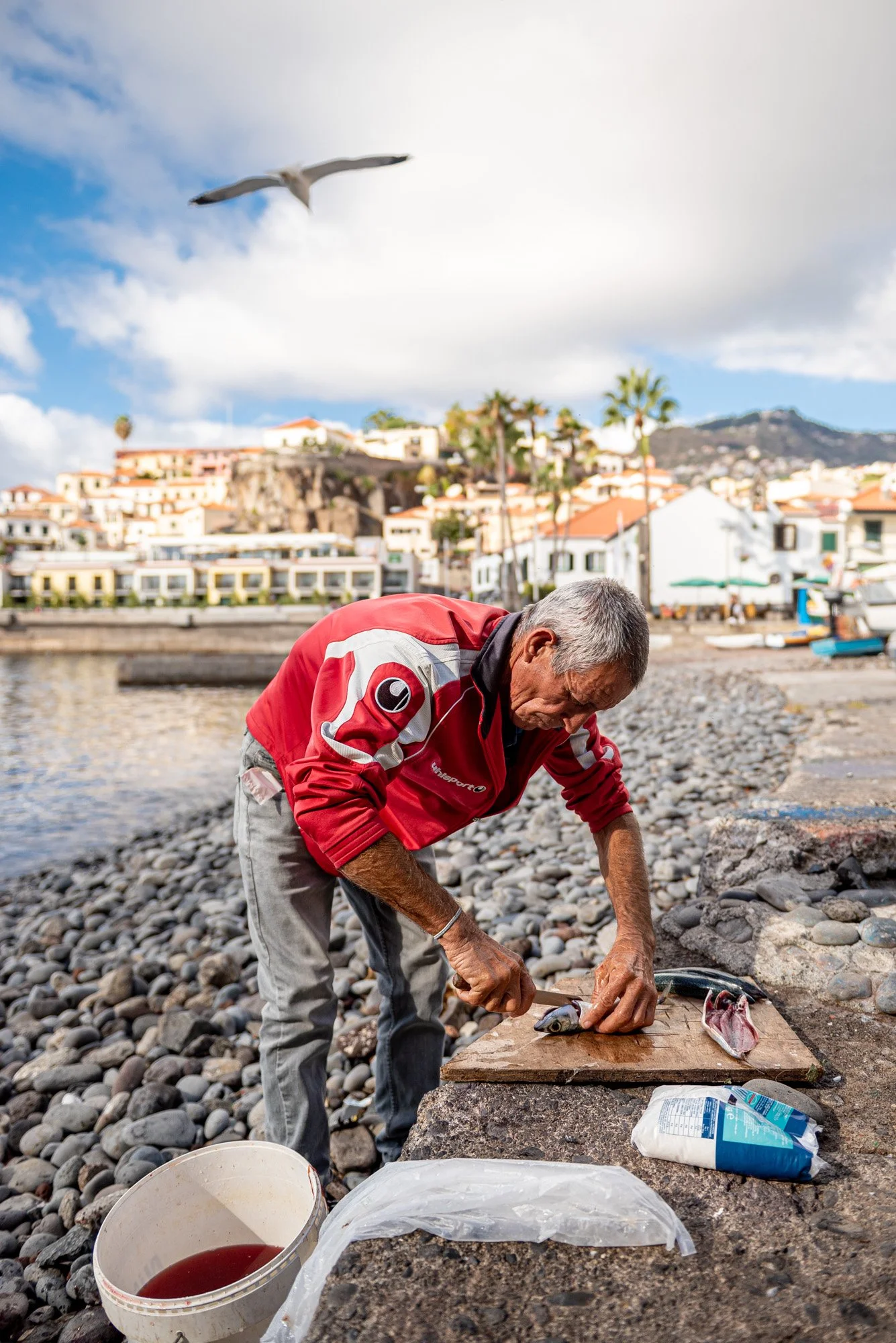 Madeira - 4719.jpg