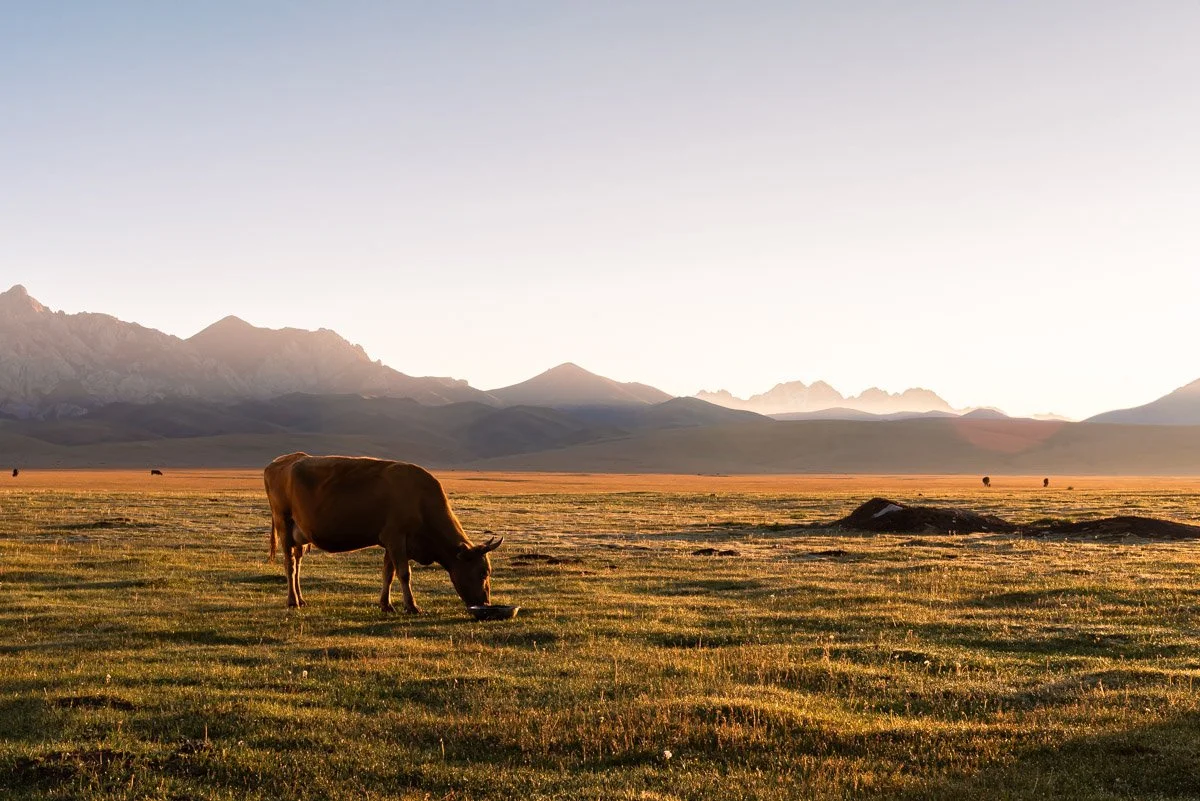 Kyrgyzstan-4299Low res.jpg