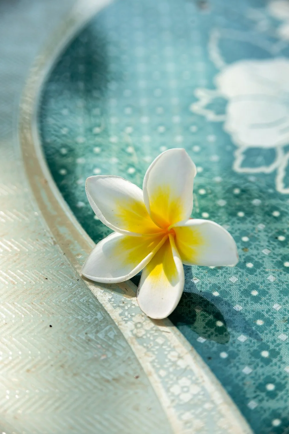 Lao Silk - 9044.jpg